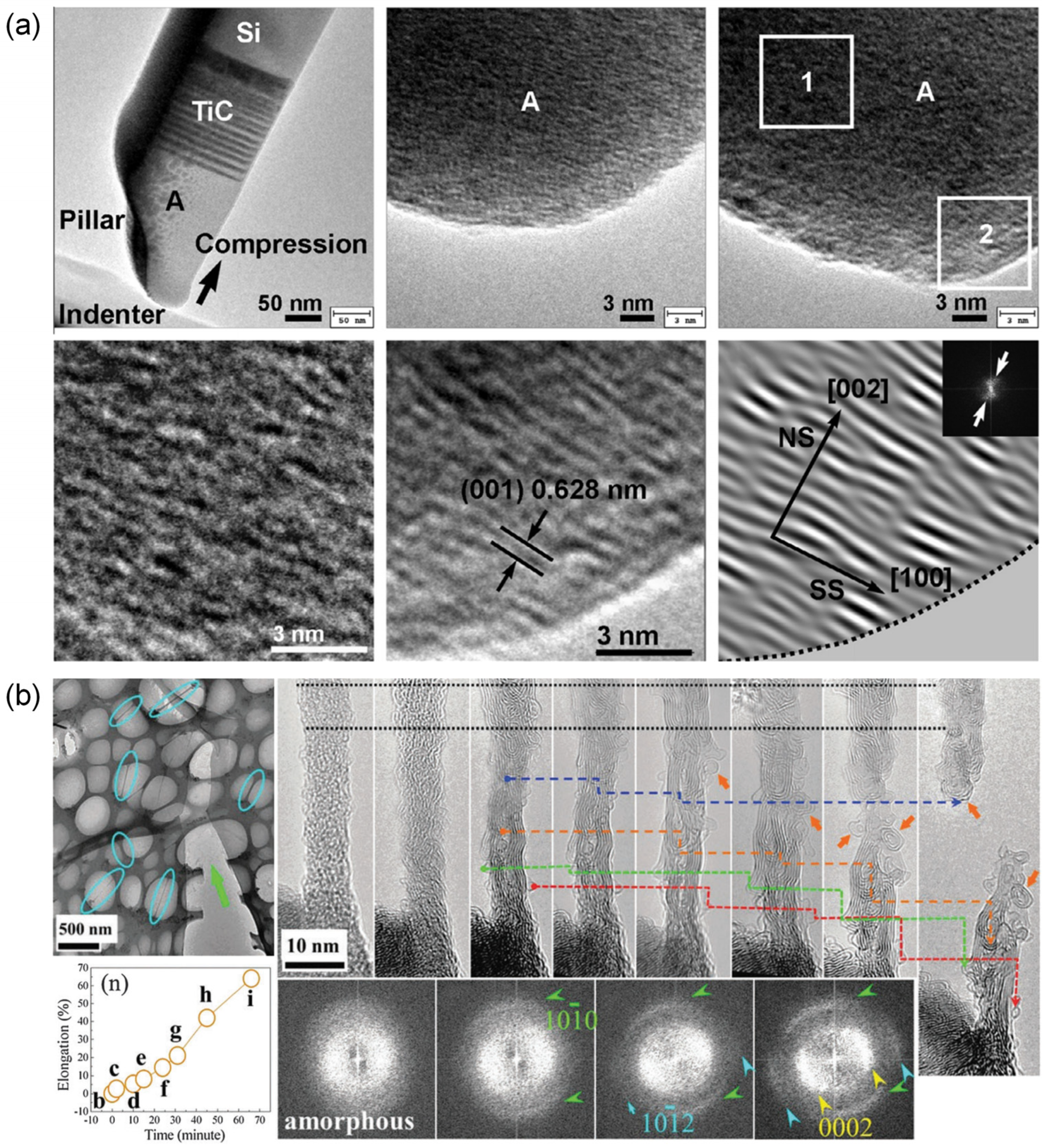 Lubricants 11 00187 g004 Lubricants 11 00187 g004