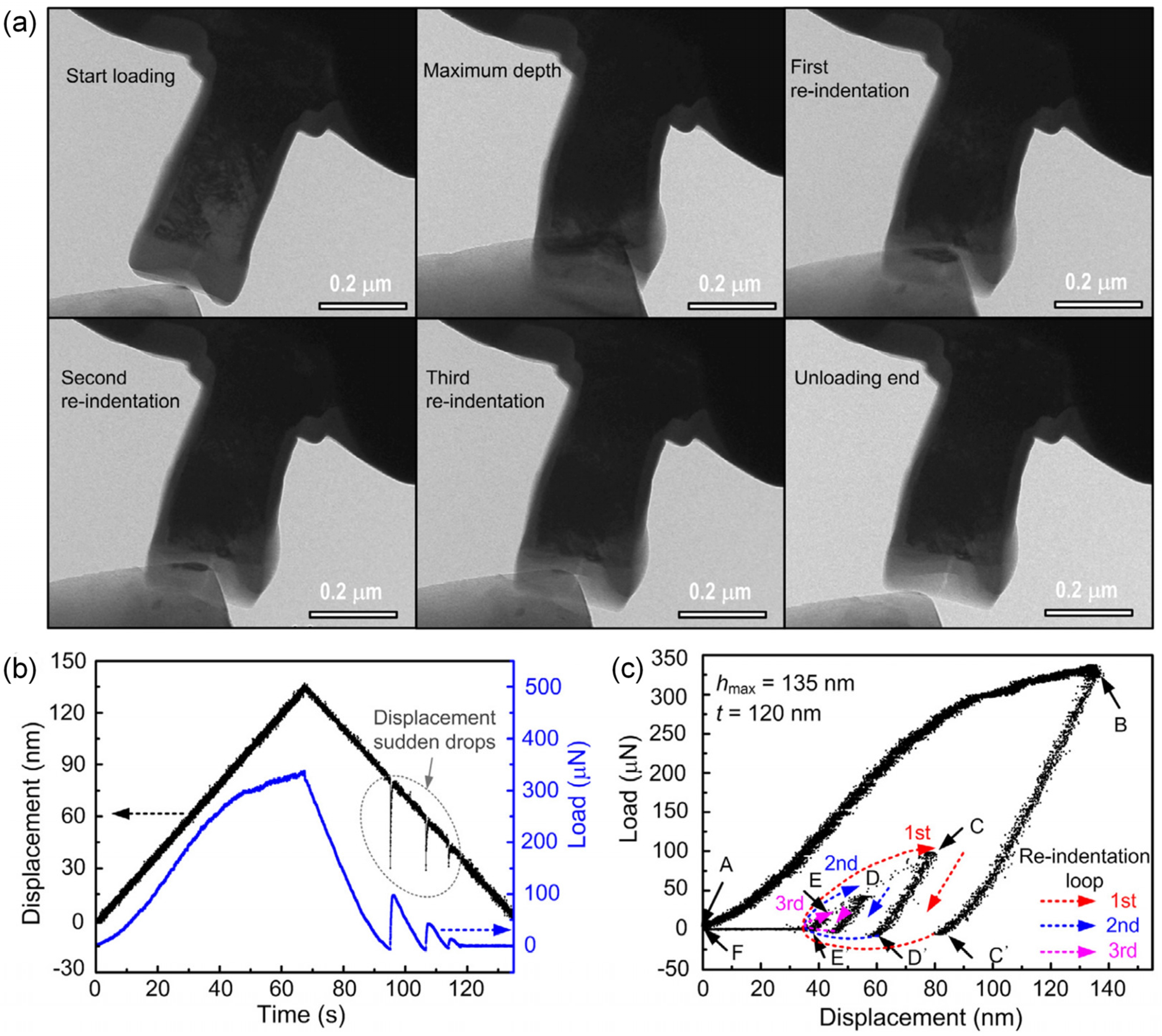 Lubricants 11 00187 g005 Lubricants 11 00187 g005