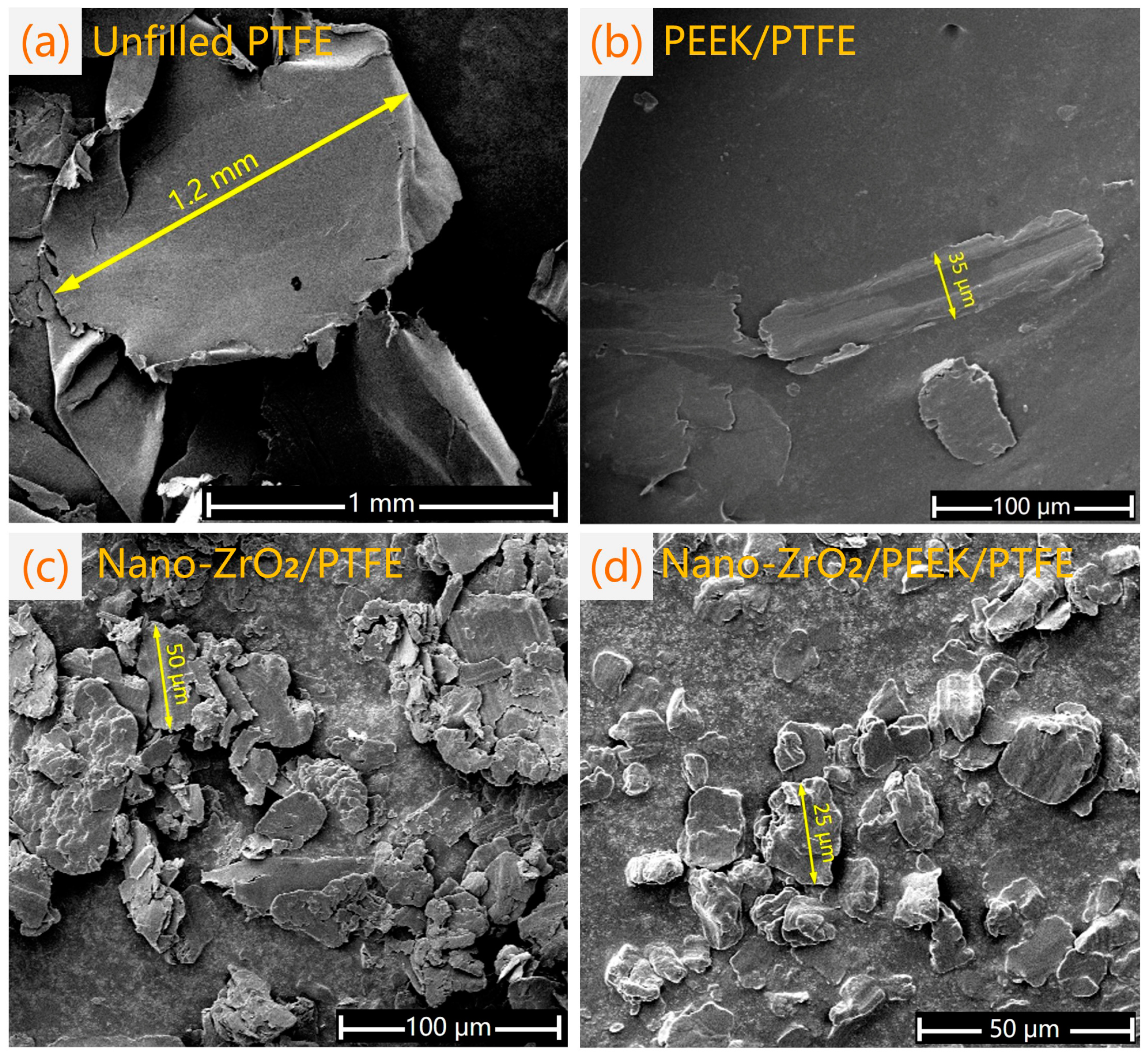 Lubricants 11 00194 g005
