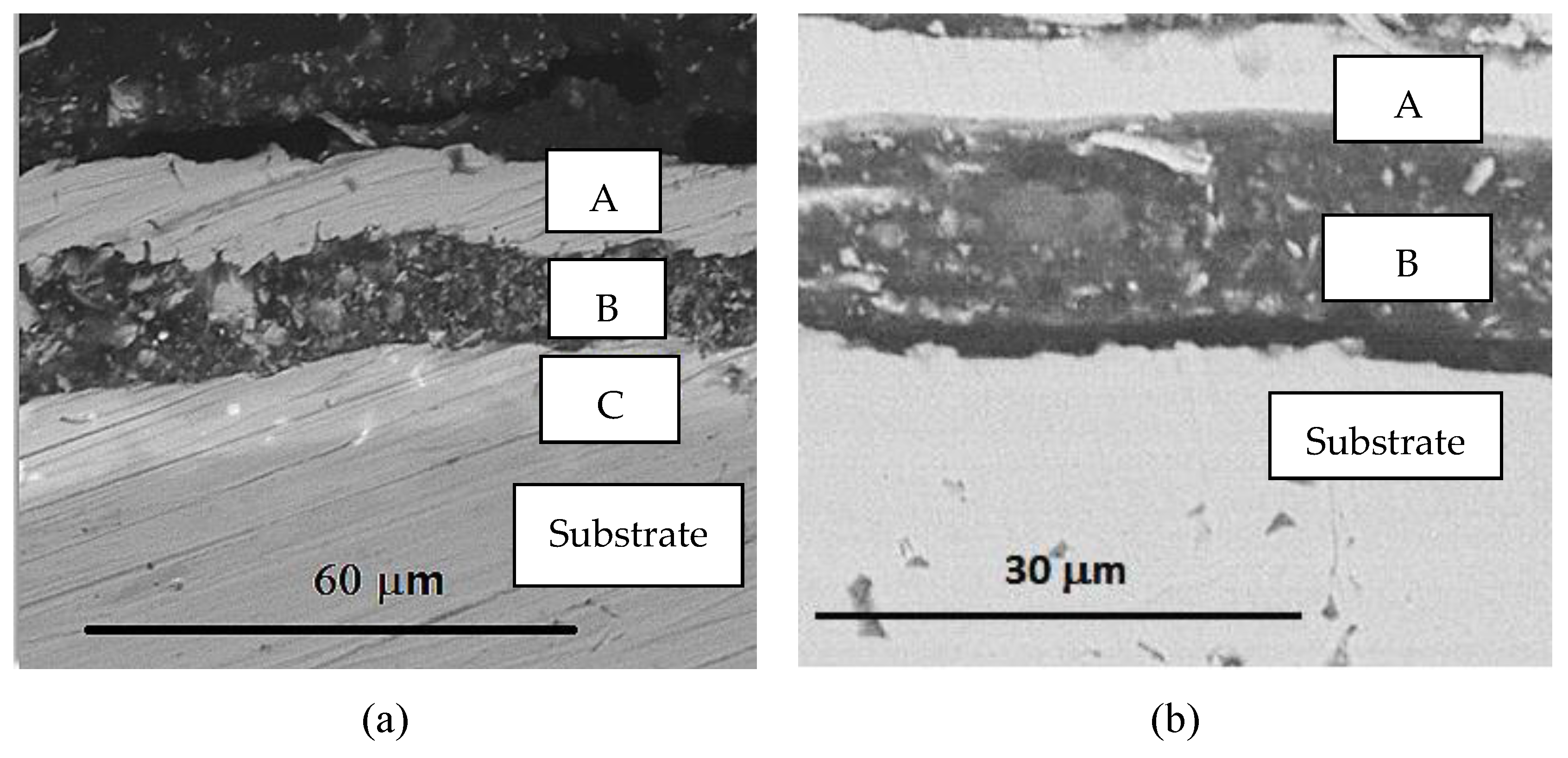 Lubricants 11 00205 g004