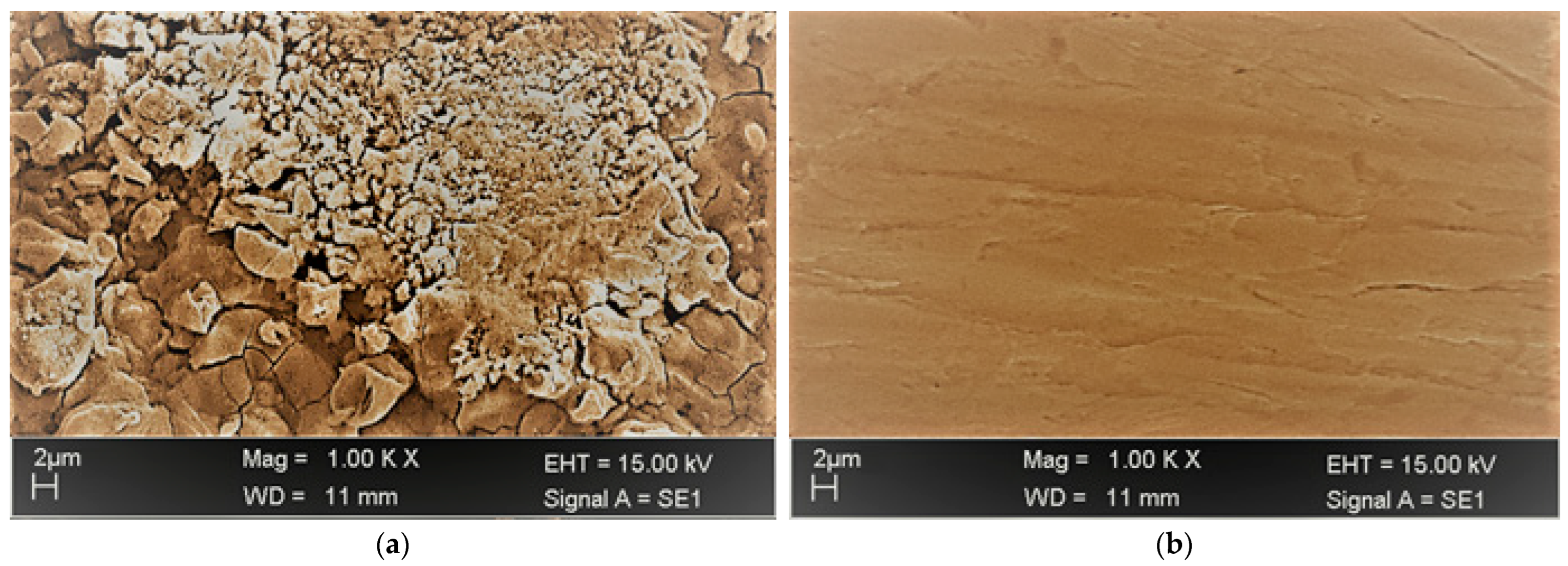 Lubricants 11 00211 g012