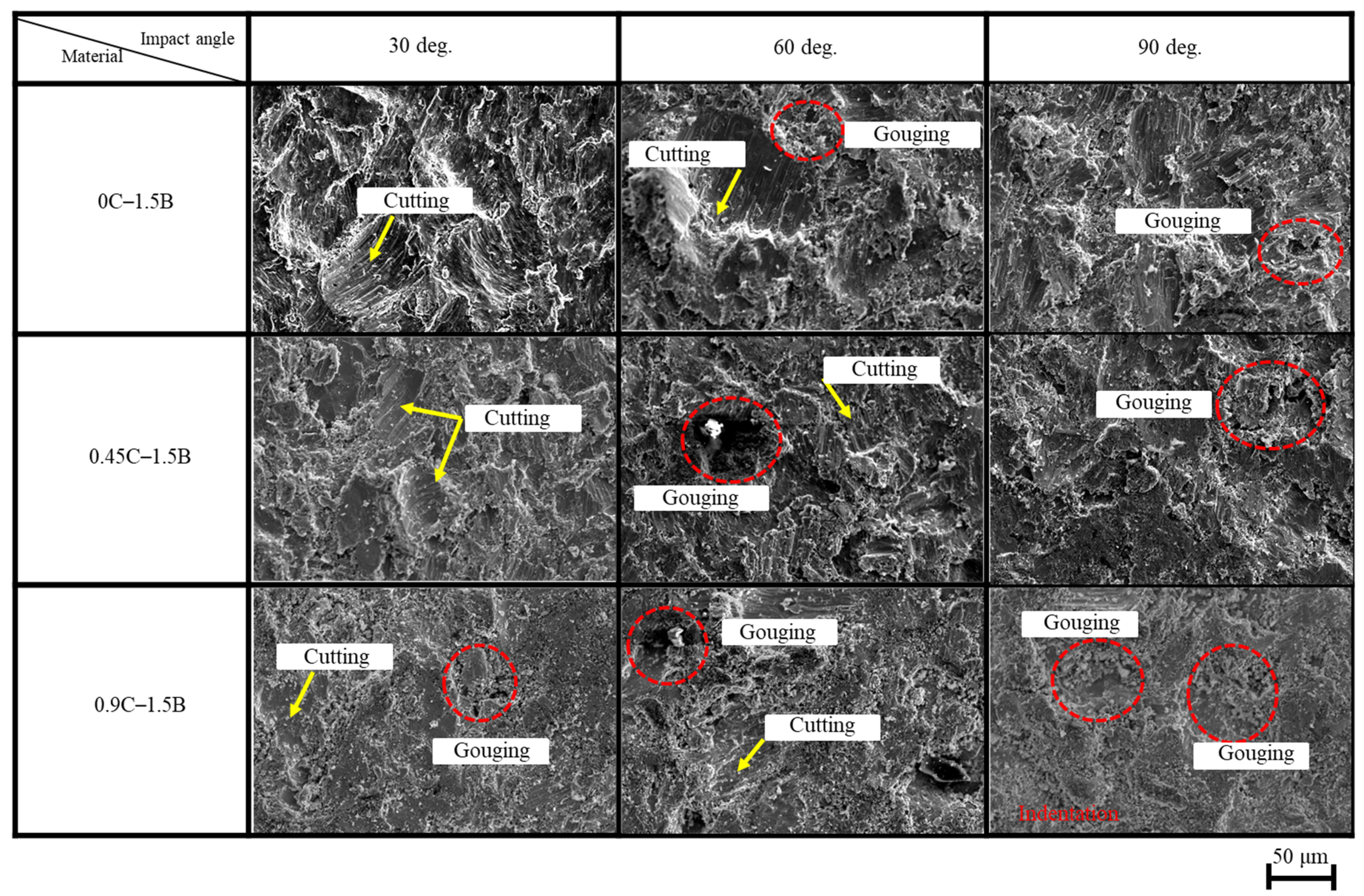 Lubricants 11 00243 g008