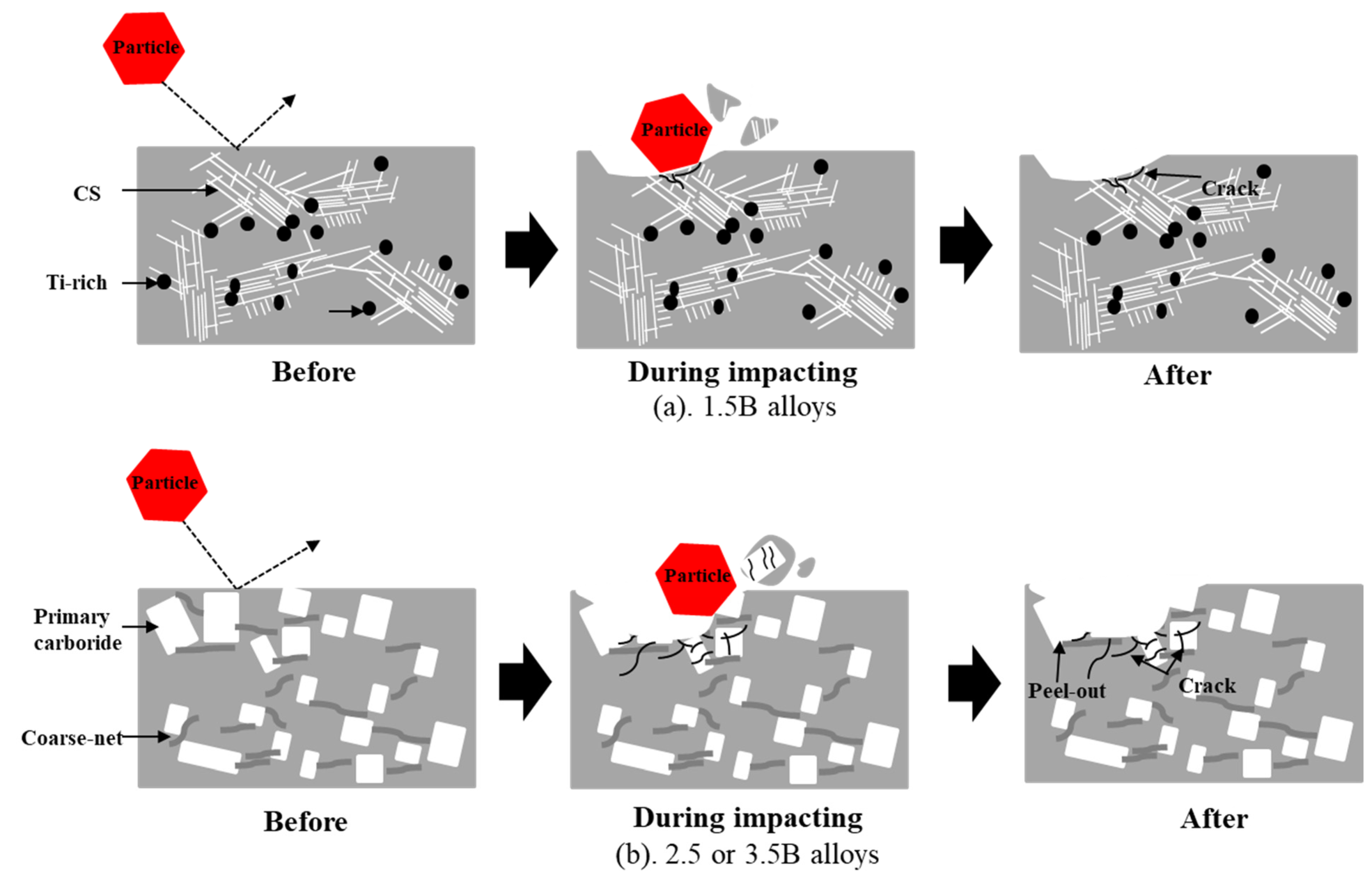 Lubricants 11 00243 g010