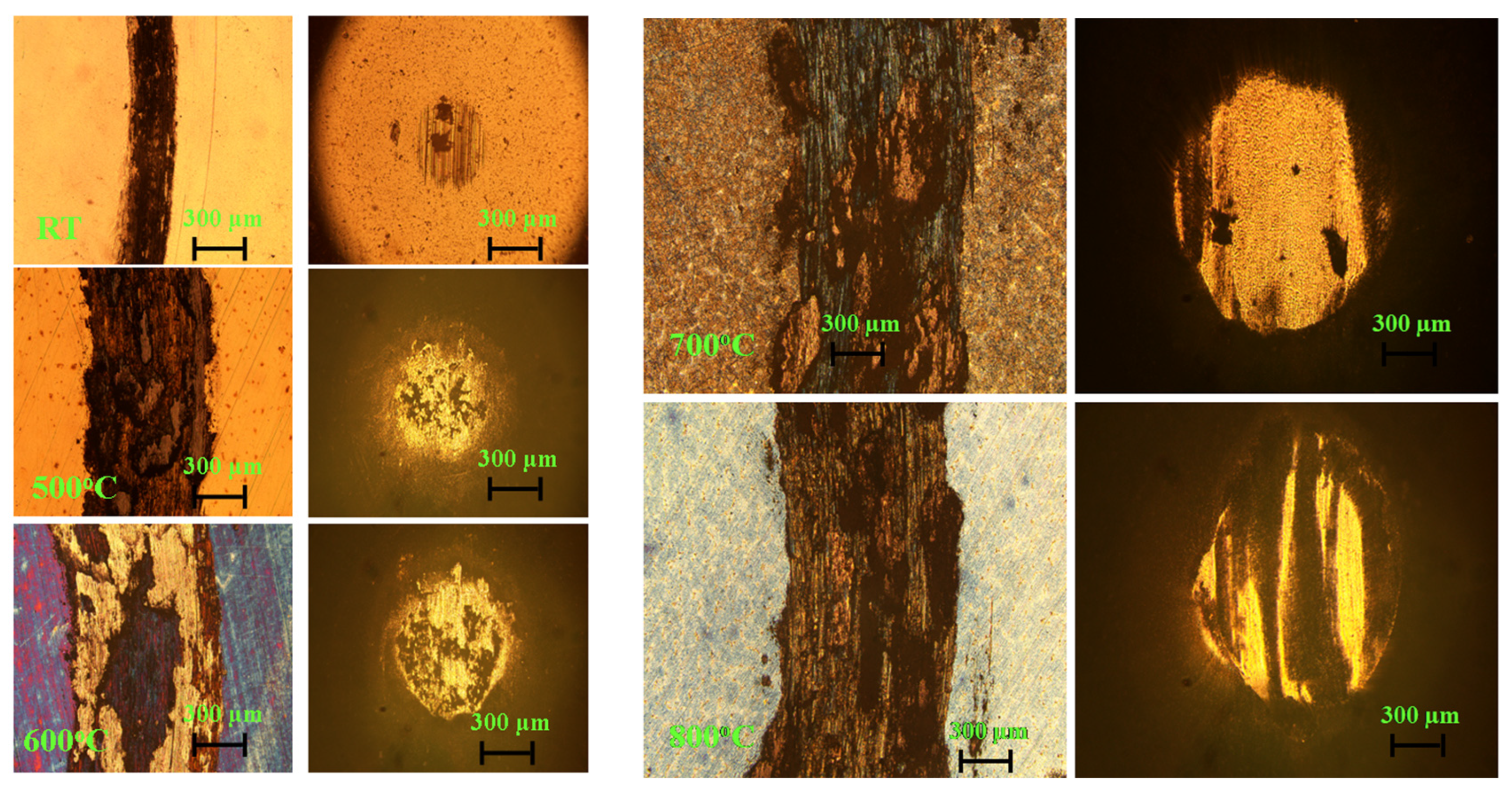 Lubricants 11 00258 g009 Lubricants 11 00258 g009