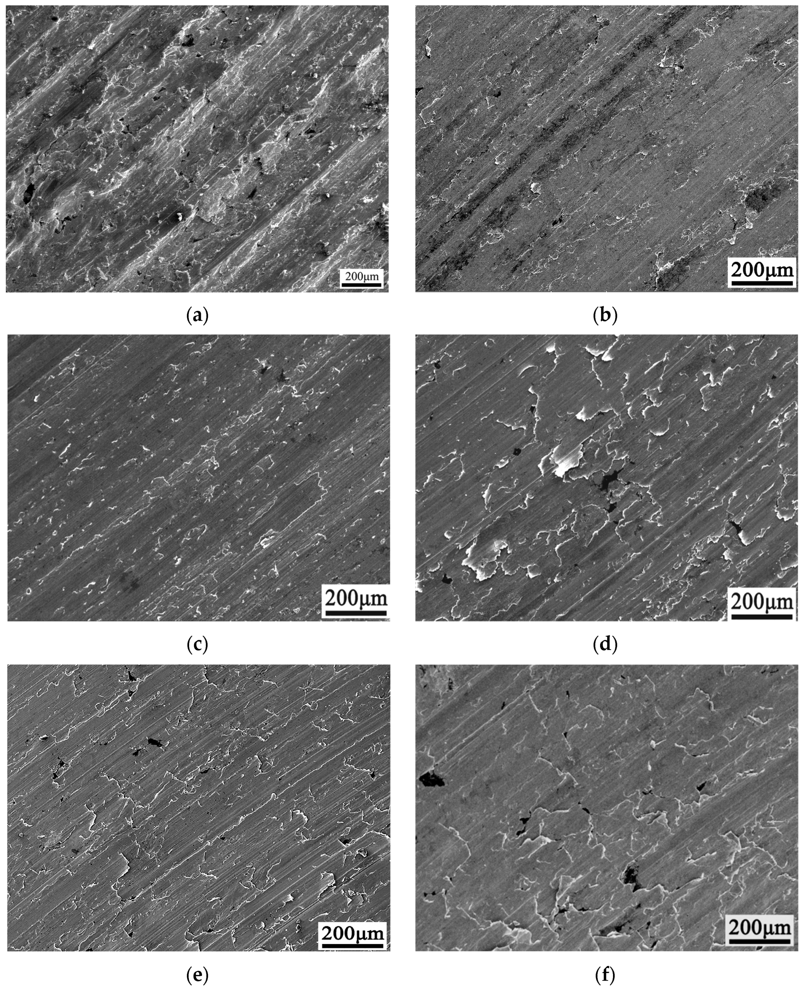 Lubricants 11 00271 g008