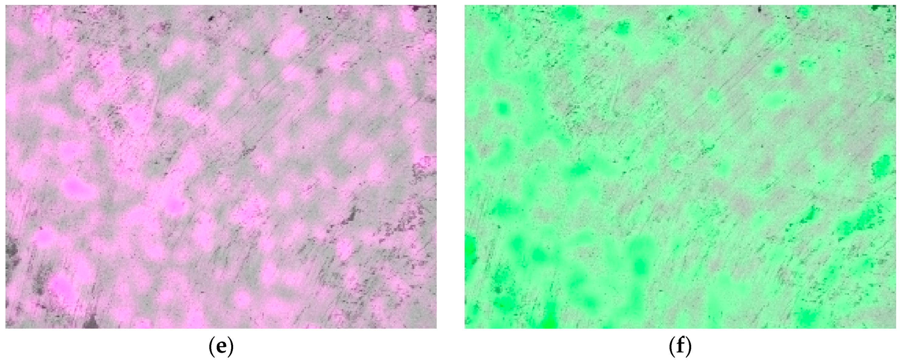 Lubricants 11 00271 g010b