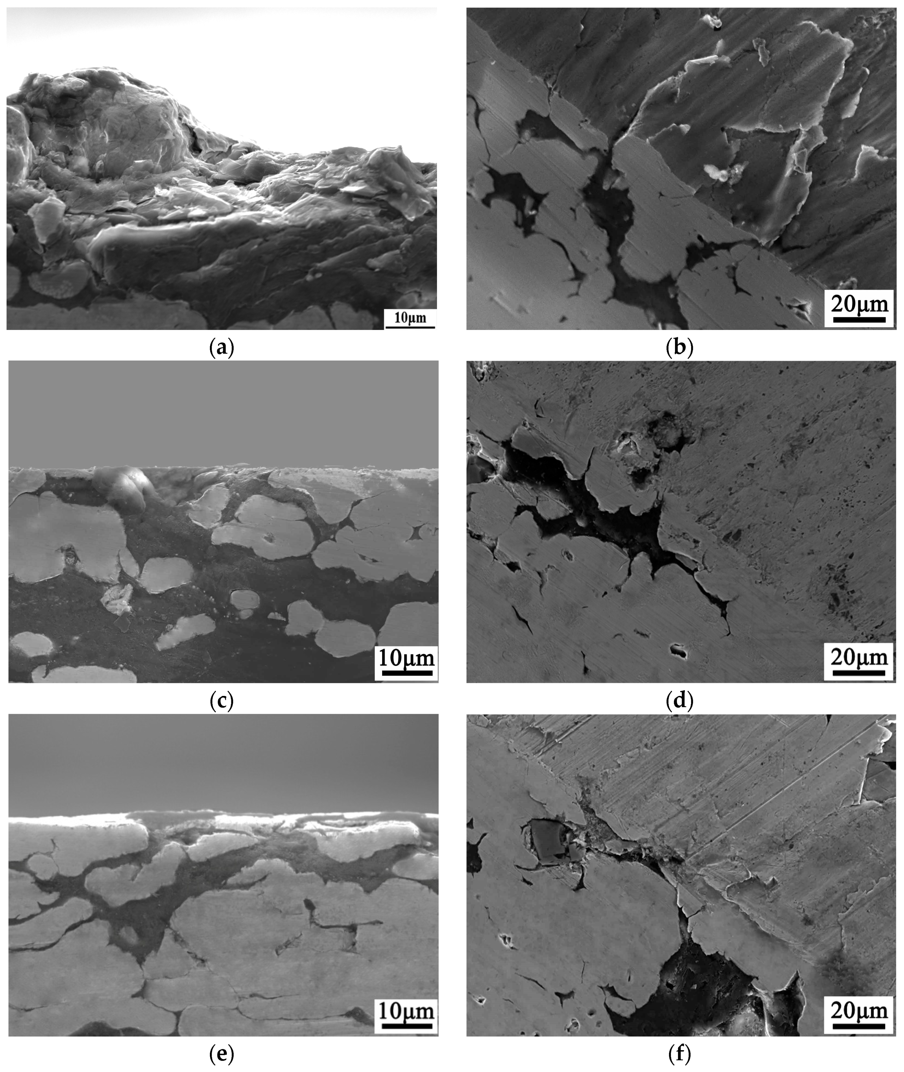 Lubricants 11 00271 g013