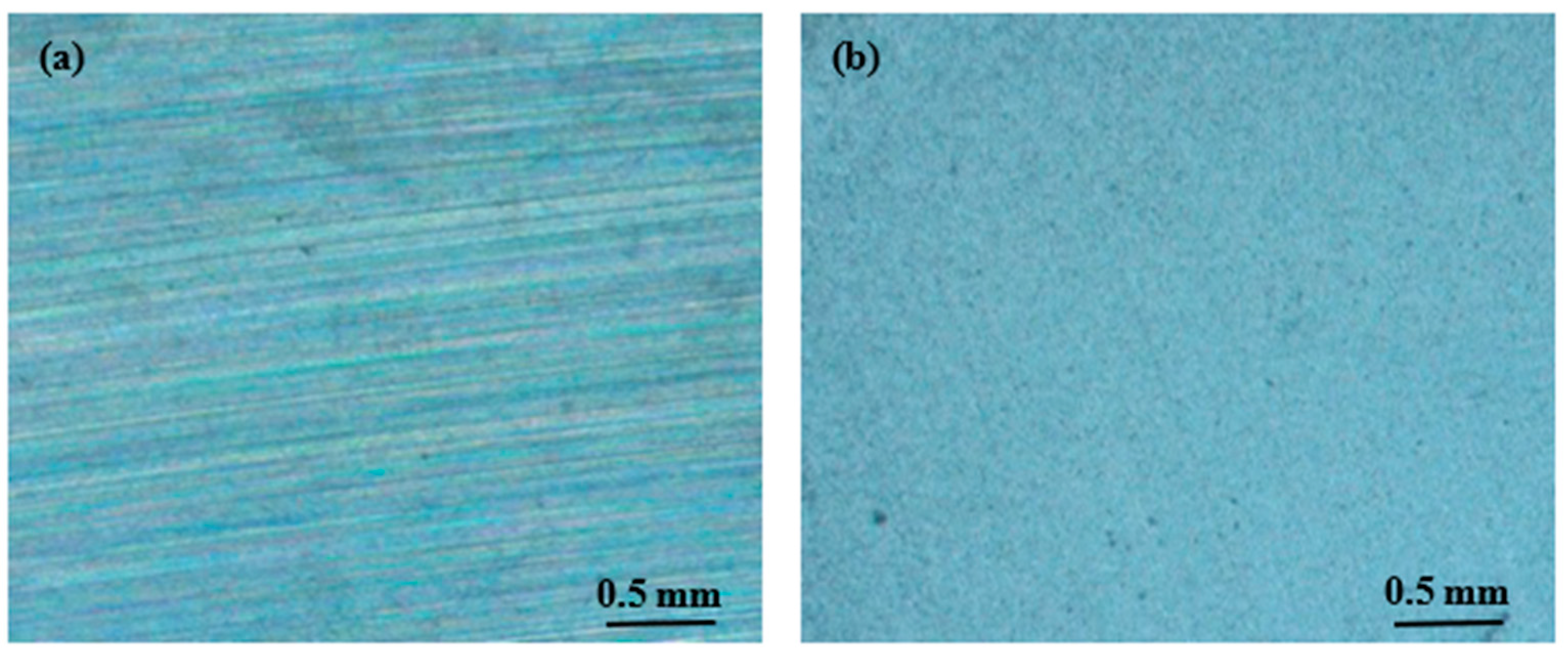 Lubricants 11 00278 g001