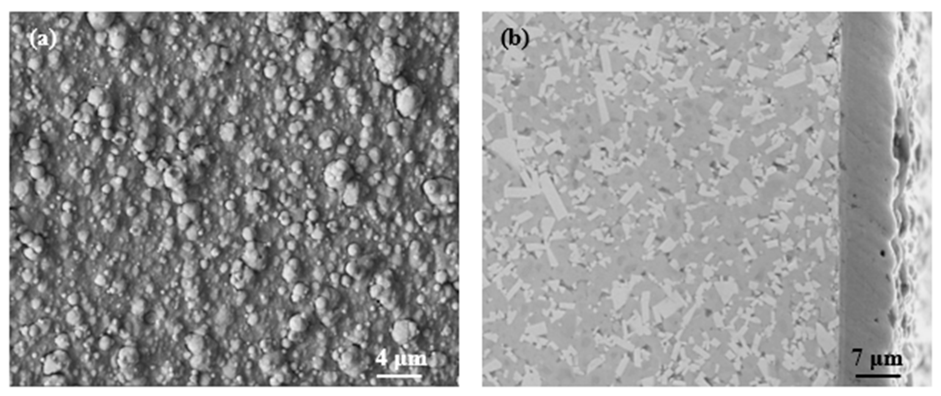 Lubricants 11 00278 g002