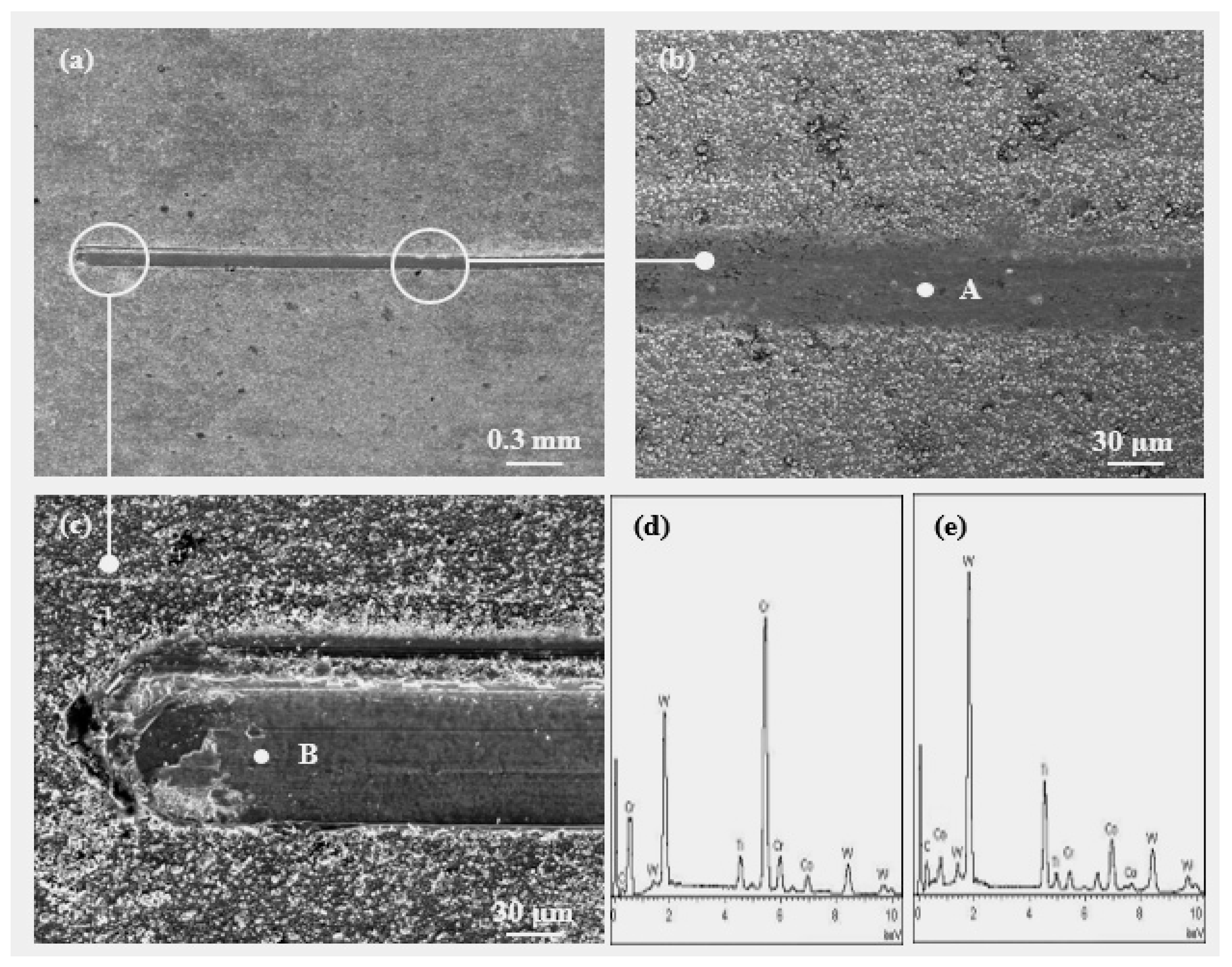 Lubricants 11 00278 g004