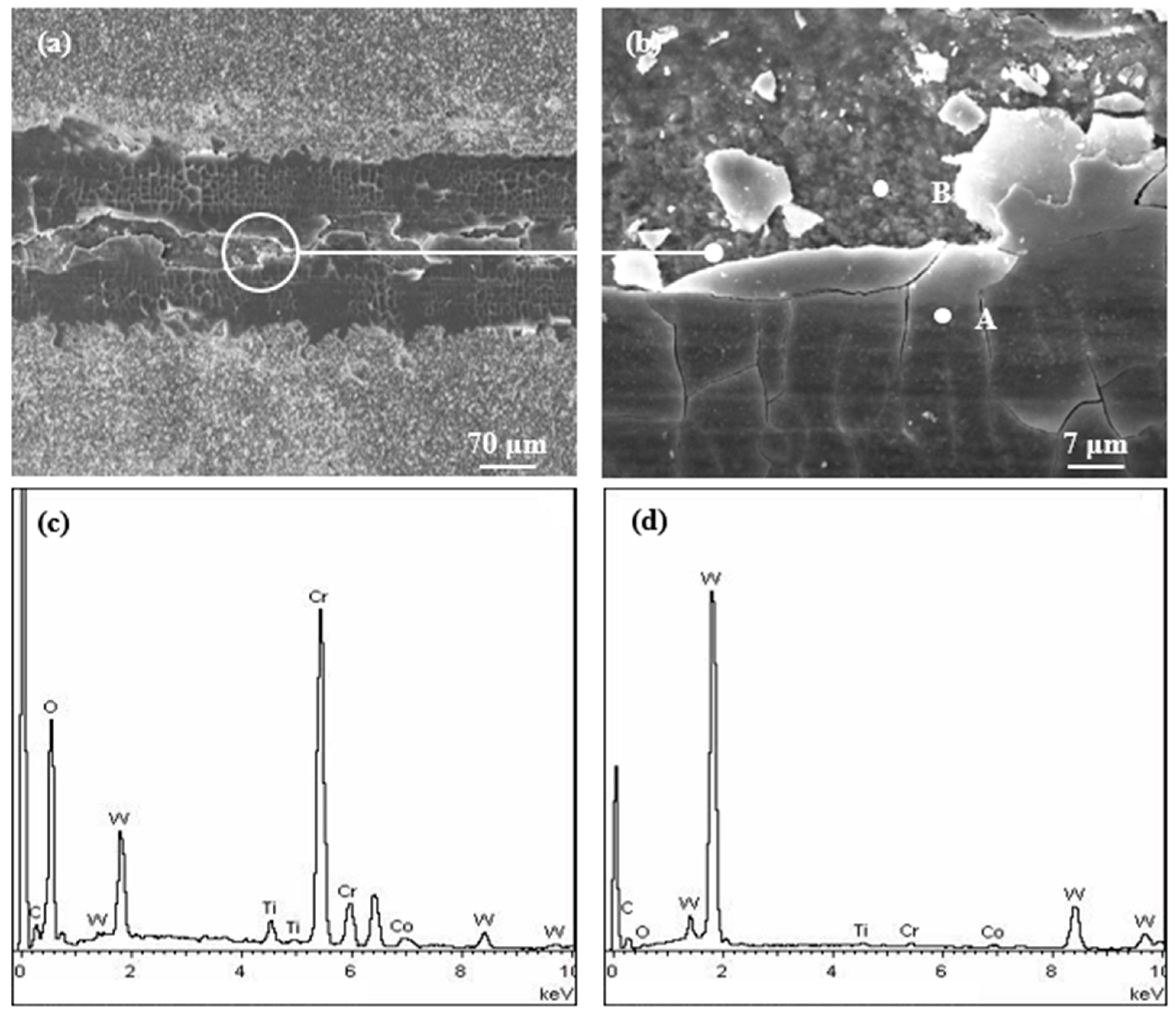 Lubricants 11 00278 g008