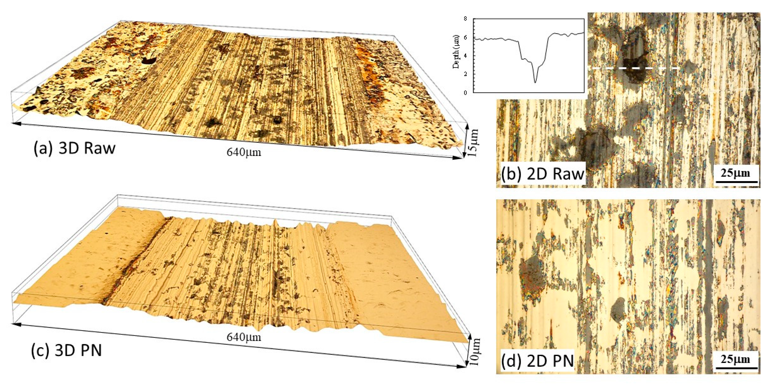 Lubricants 11 00281 g008