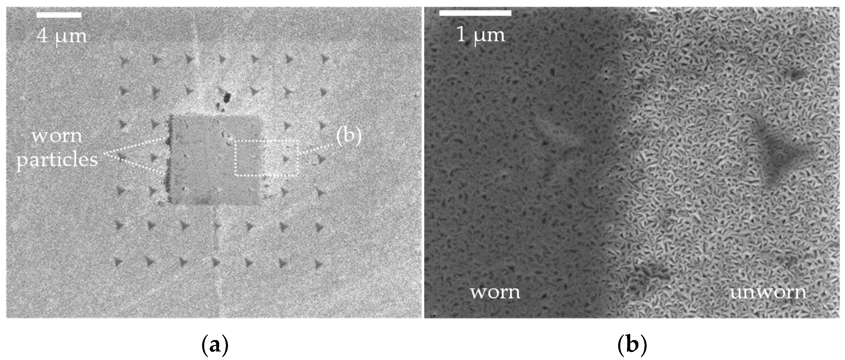 Lubricants 11 00283 g007 Lubricants 11 00283 g007