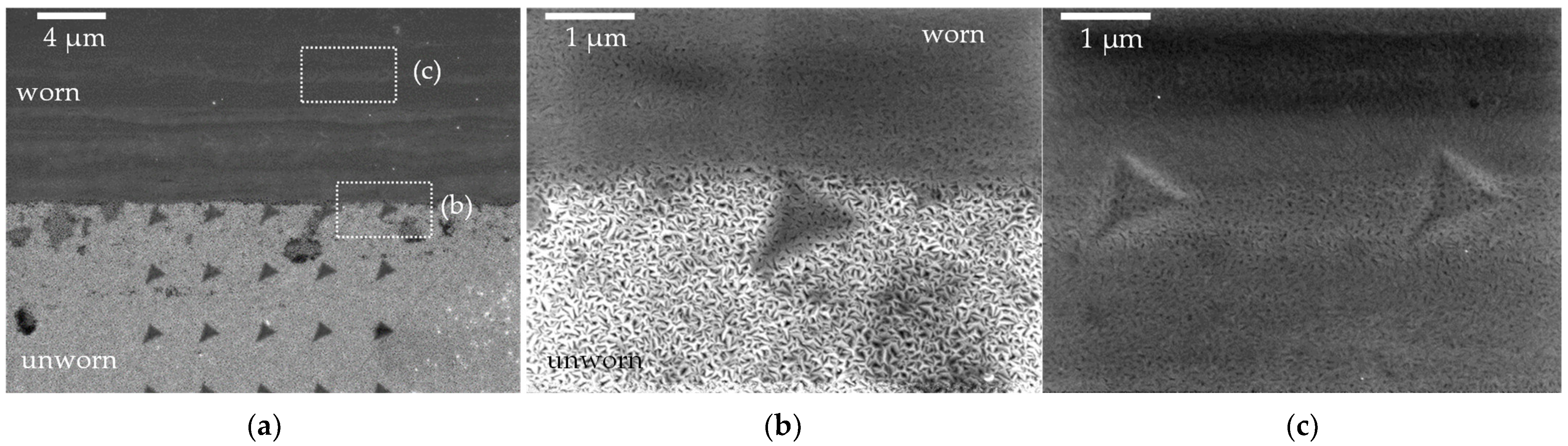 Lubricants 11 00283 g008 Lubricants 11 00283 g008