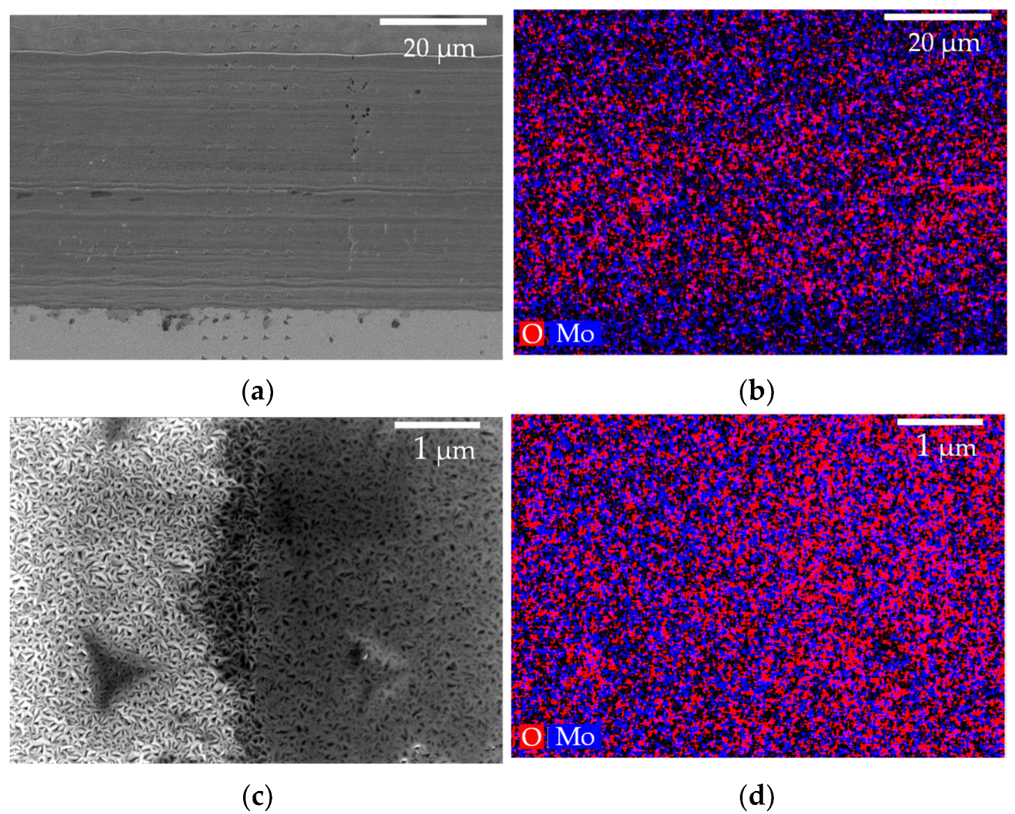 Lubricants 11 00283 g009 Lubricants 11 00283 g009