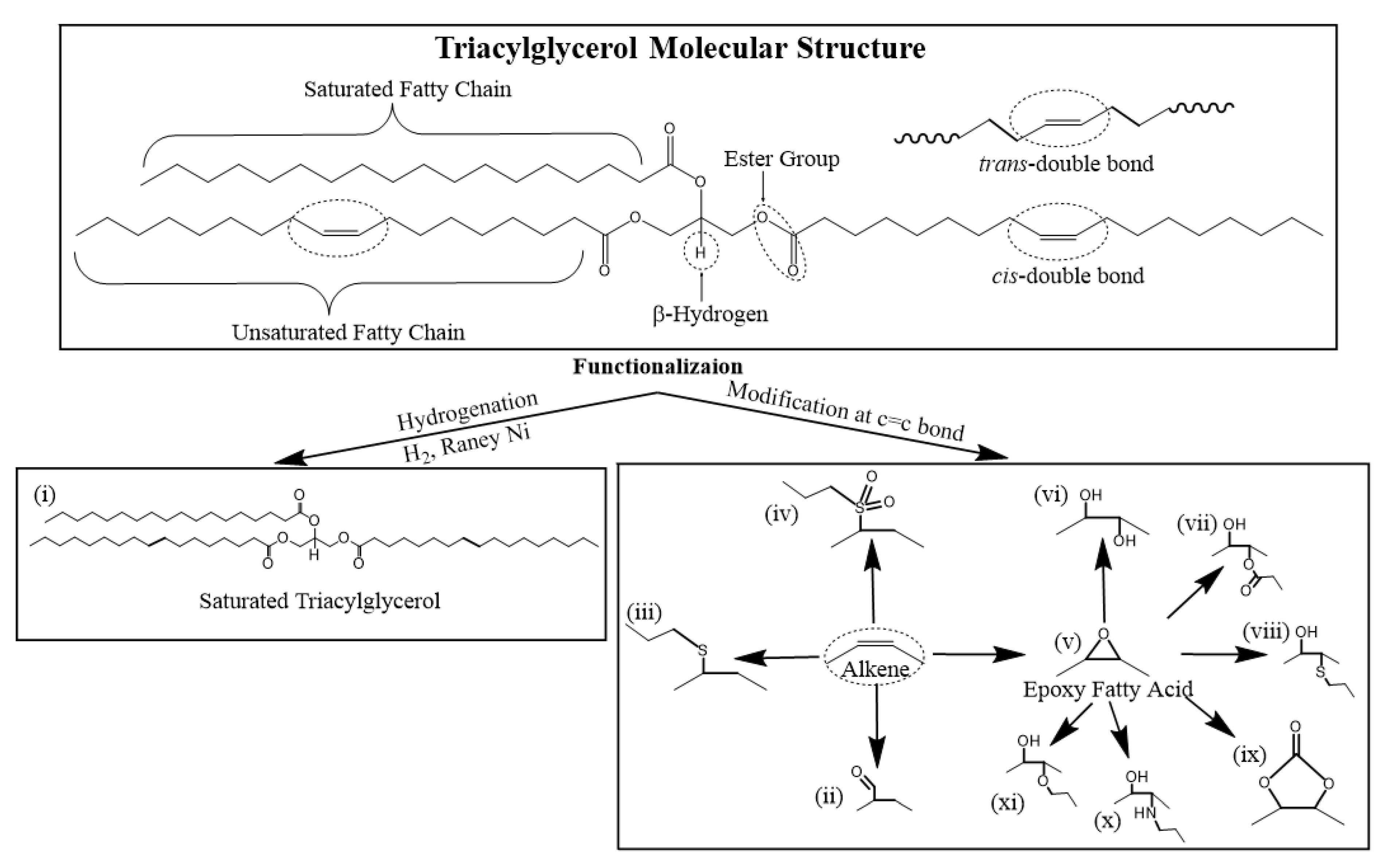 Lubricants 11 00284 sch003