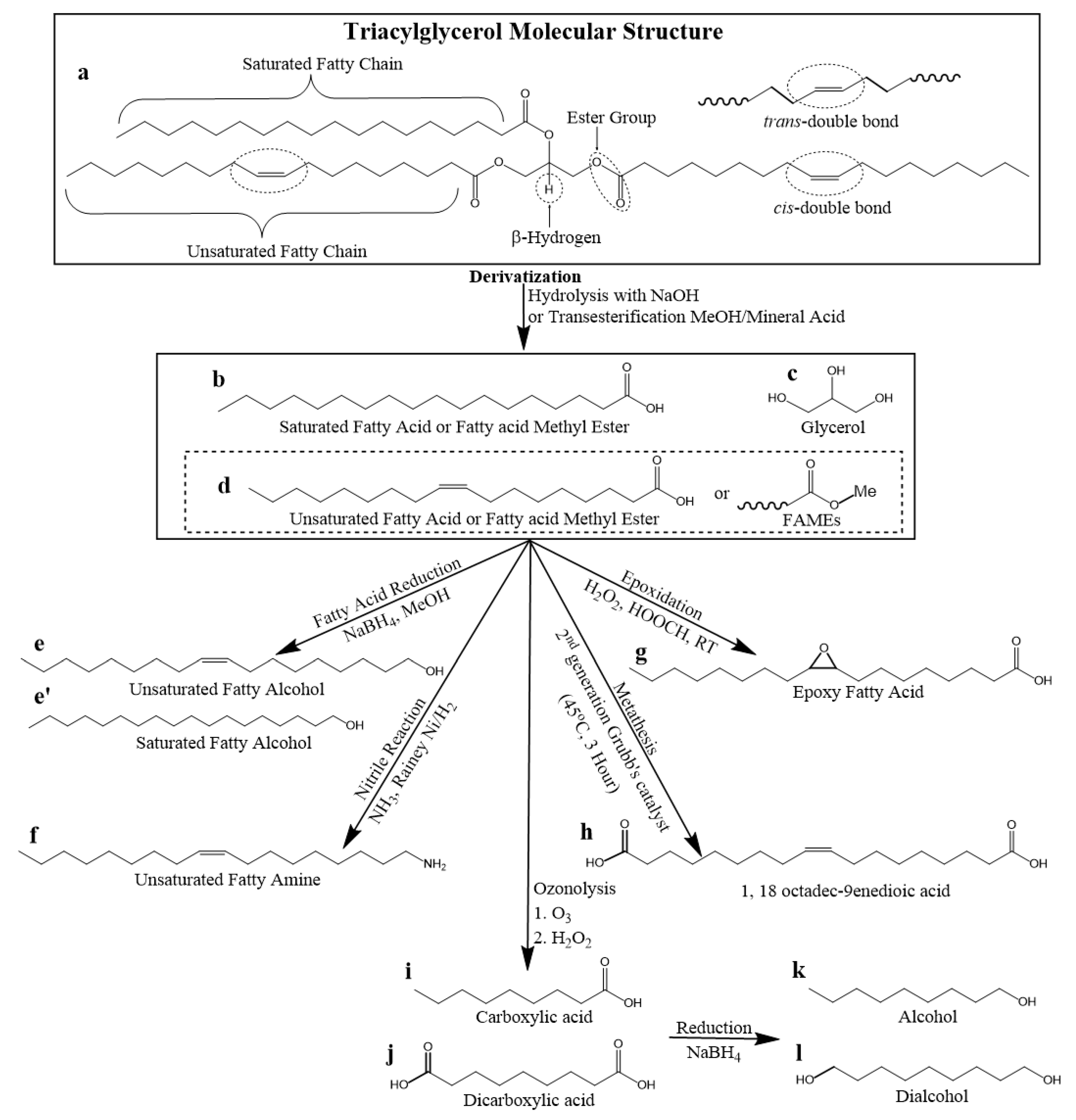 Lubricants 11 00284 sch004
