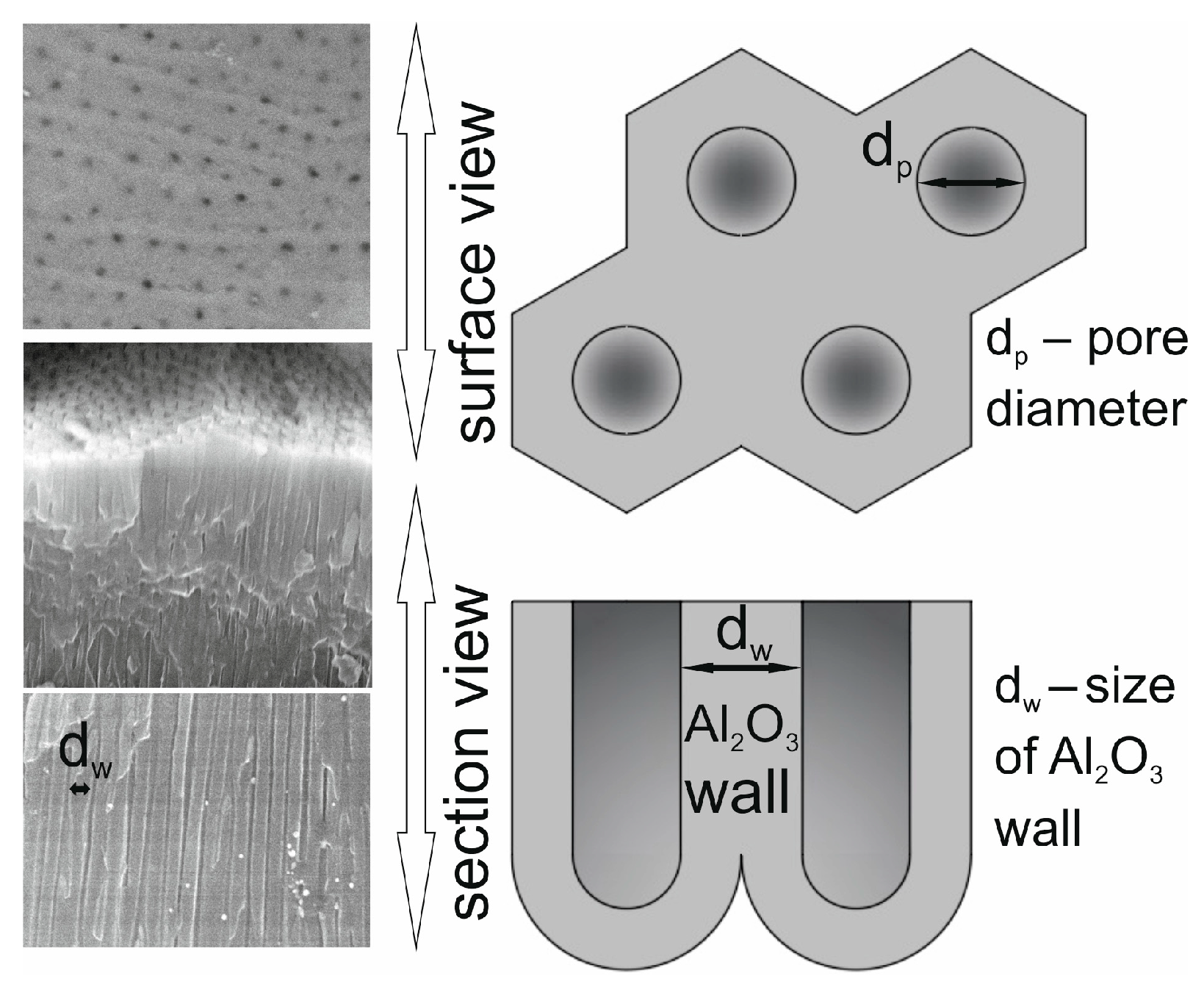 Lubricants 11 00286 g002