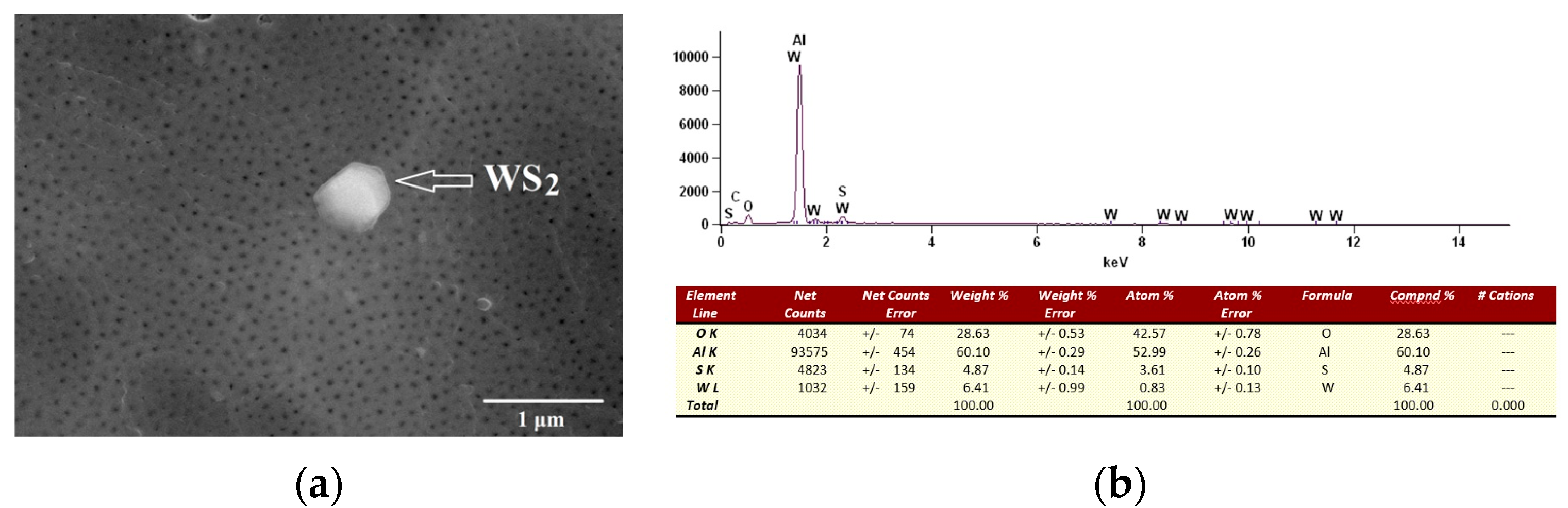 Lubricants 11 00286 g005
