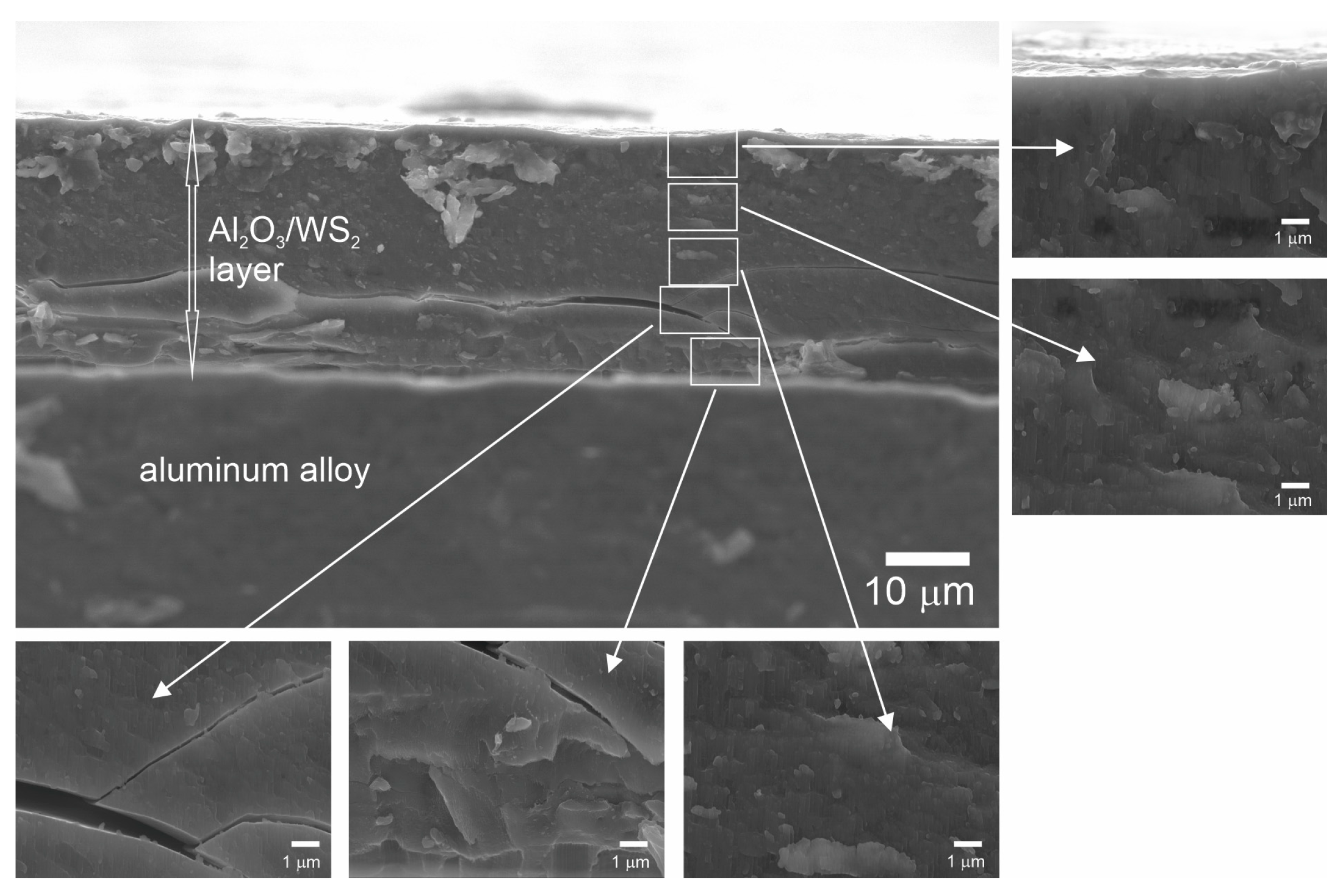 Lubricants 11 00286 g006
