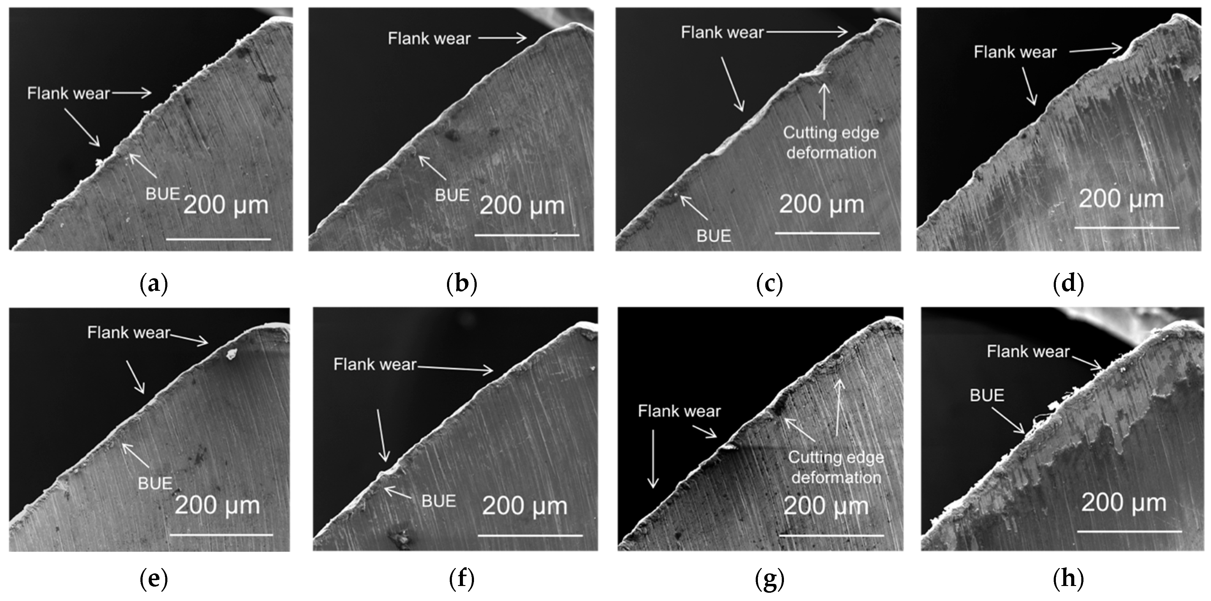 Lubricants 11 00301 g004