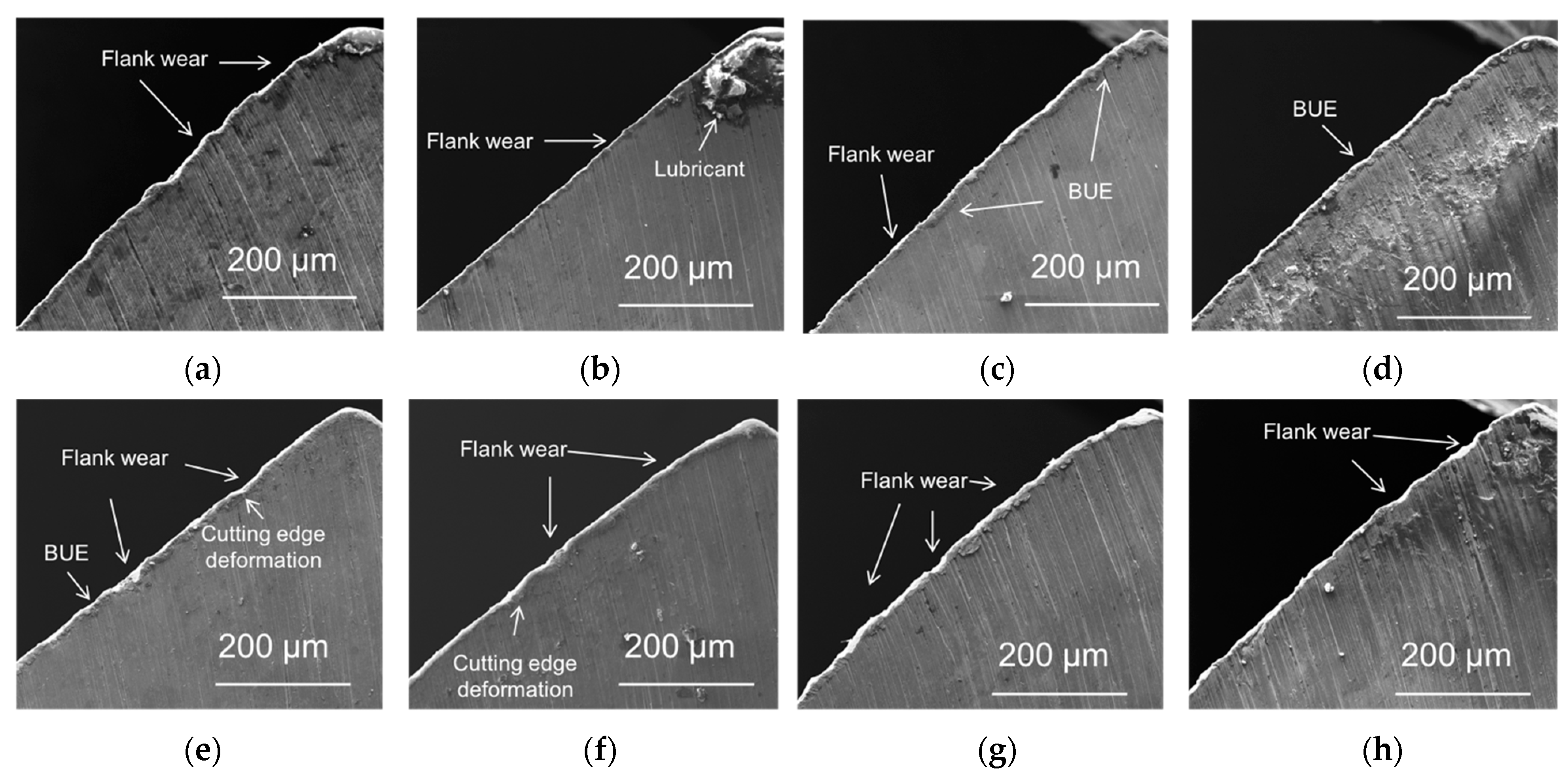 Lubricants 11 00301 g005