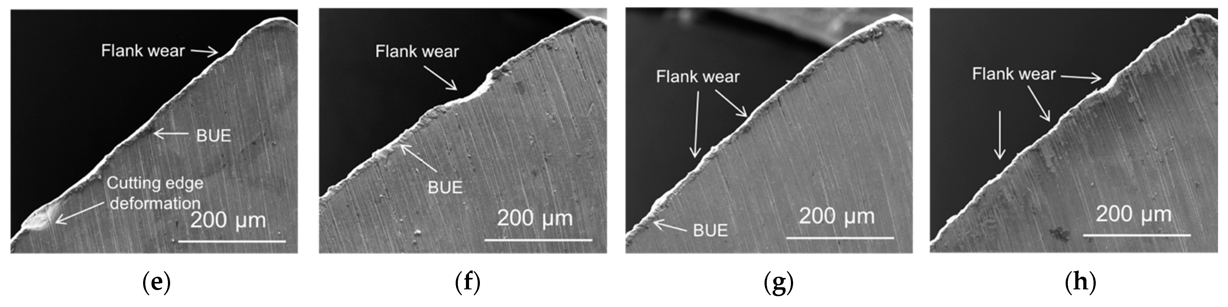 Lubricants 11 00301 g006b