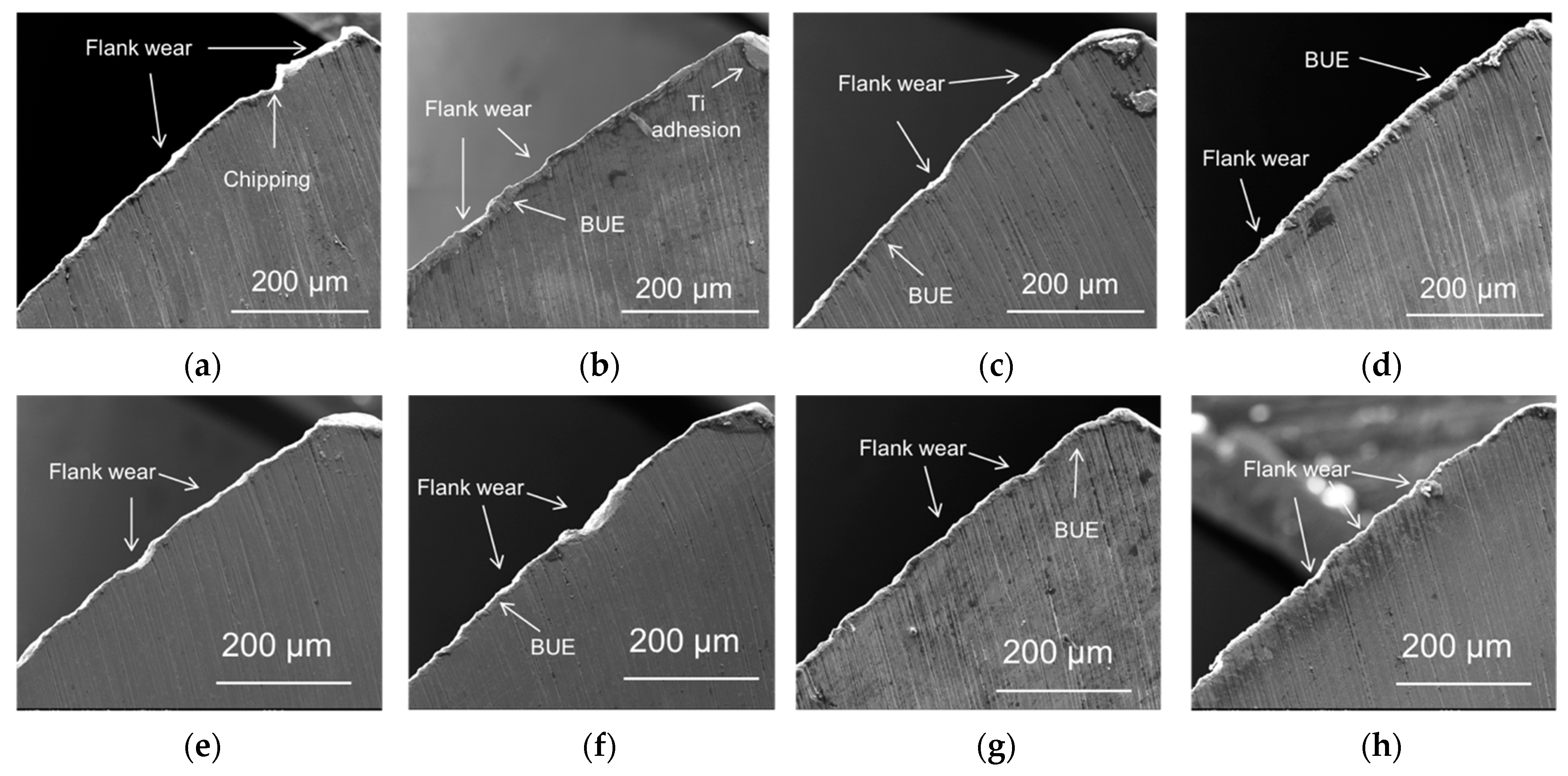 Lubricants 11 00301 g007