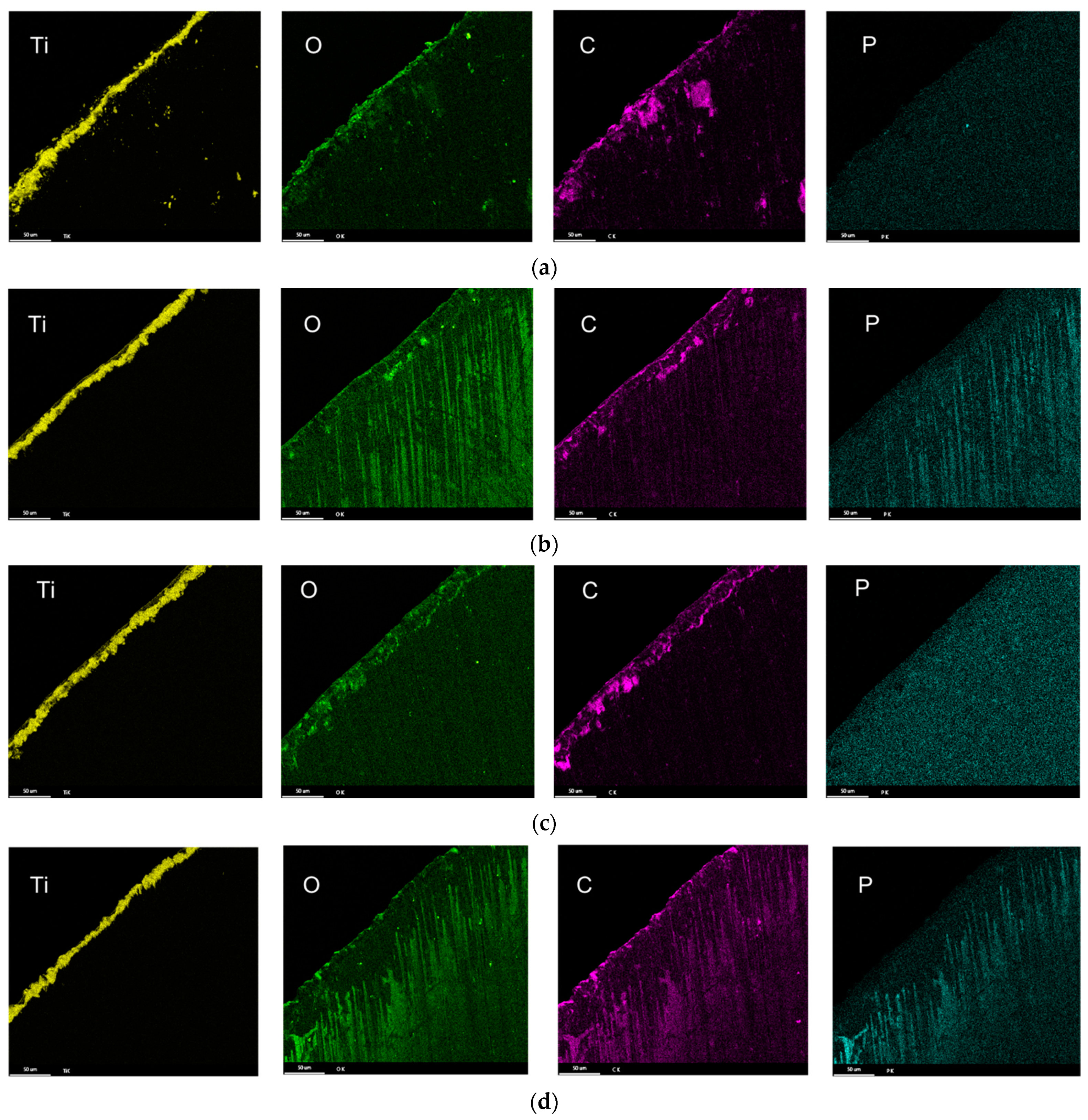 Lubricants 11 00301 g008