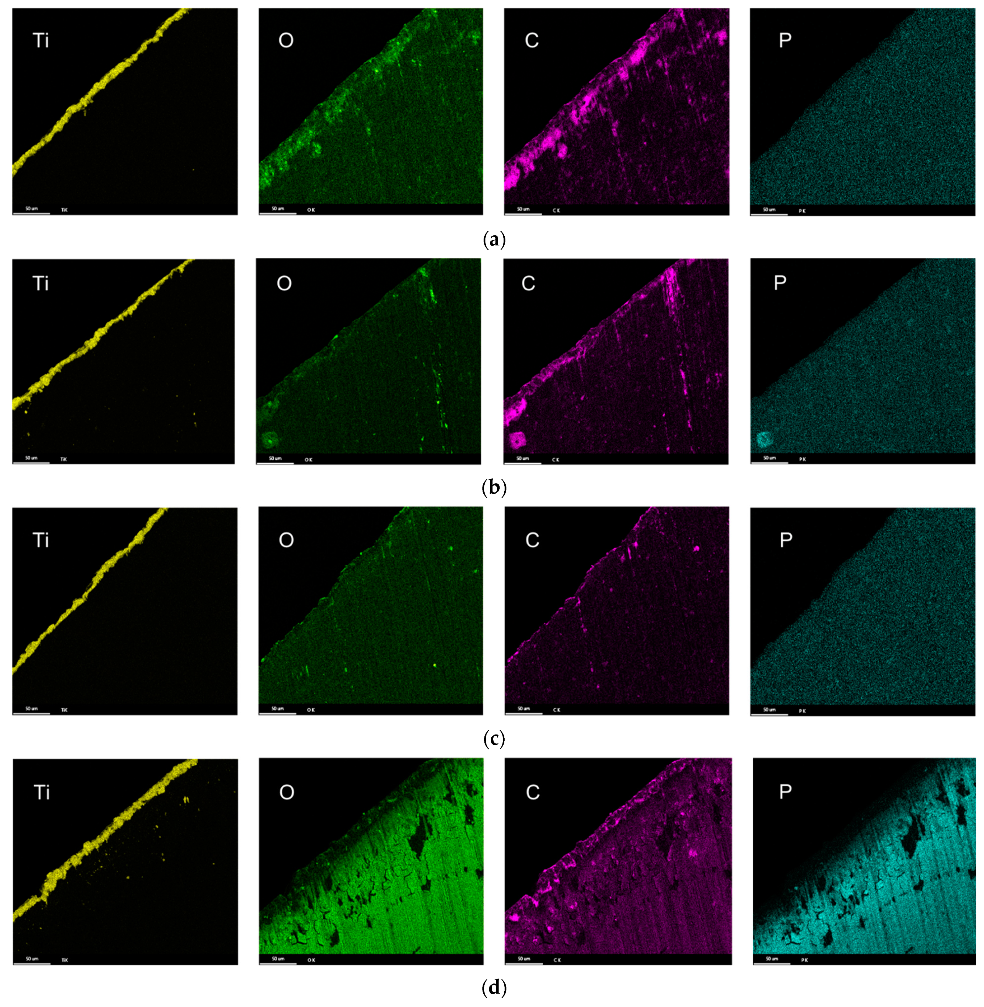 Lubricants 11 00301 g010