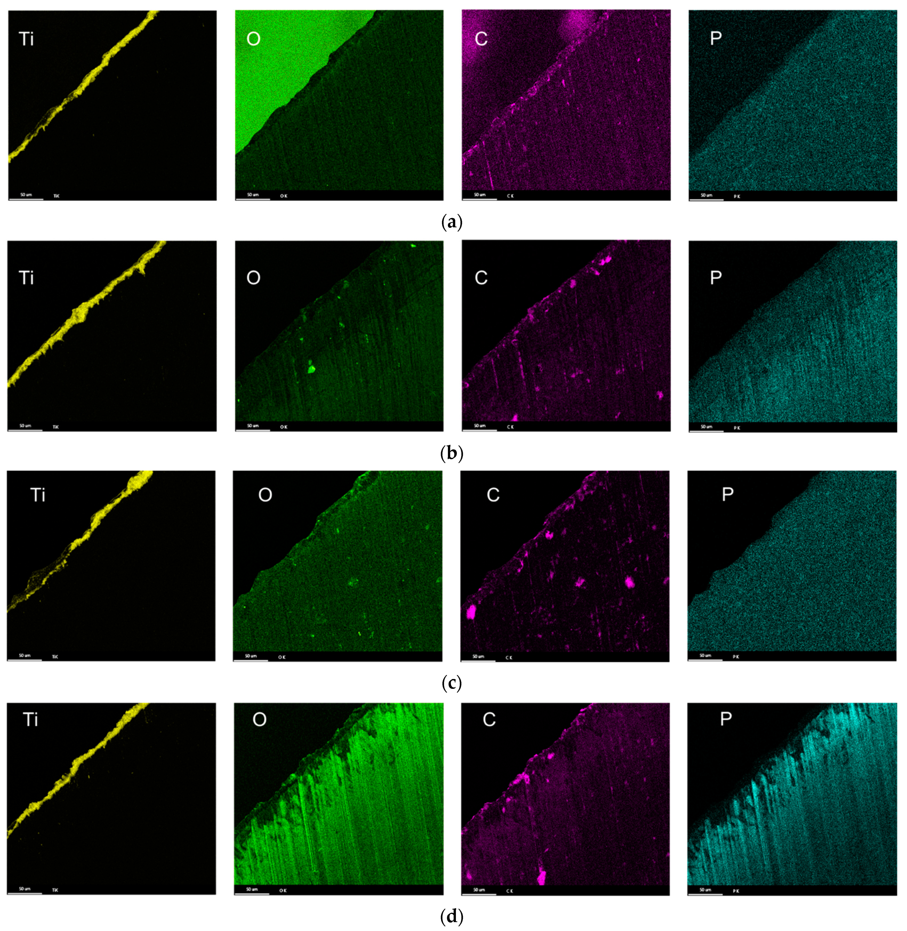 Lubricants 11 00301 g015