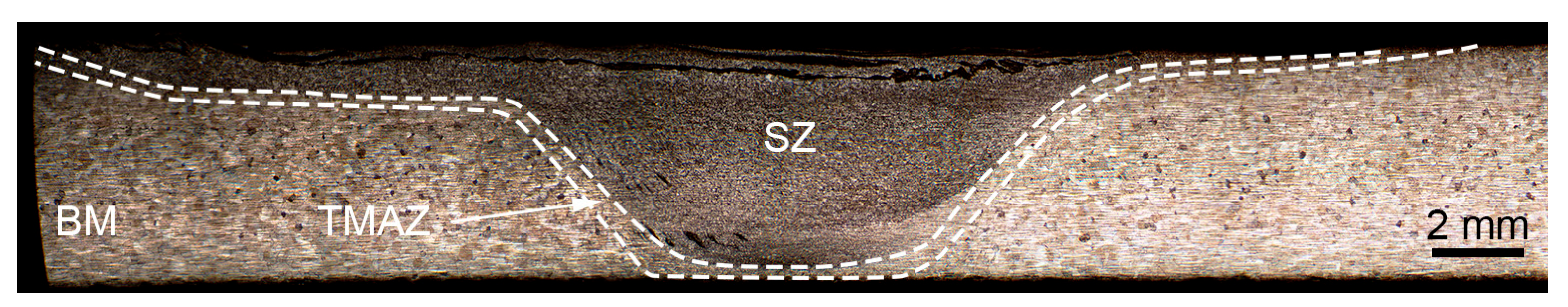 Lubricants 11 00307 g008