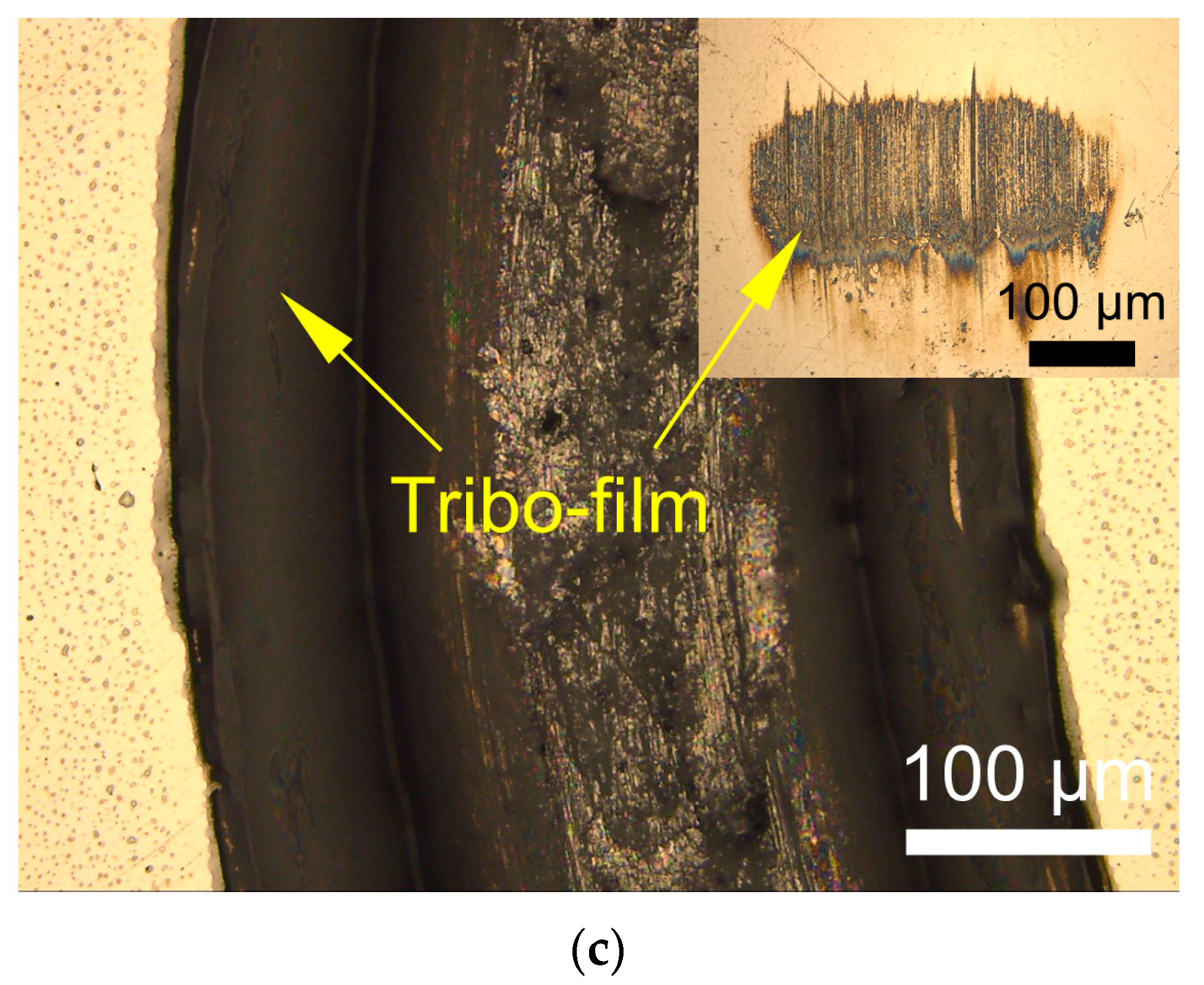 Lubricants 11 00318 g007b