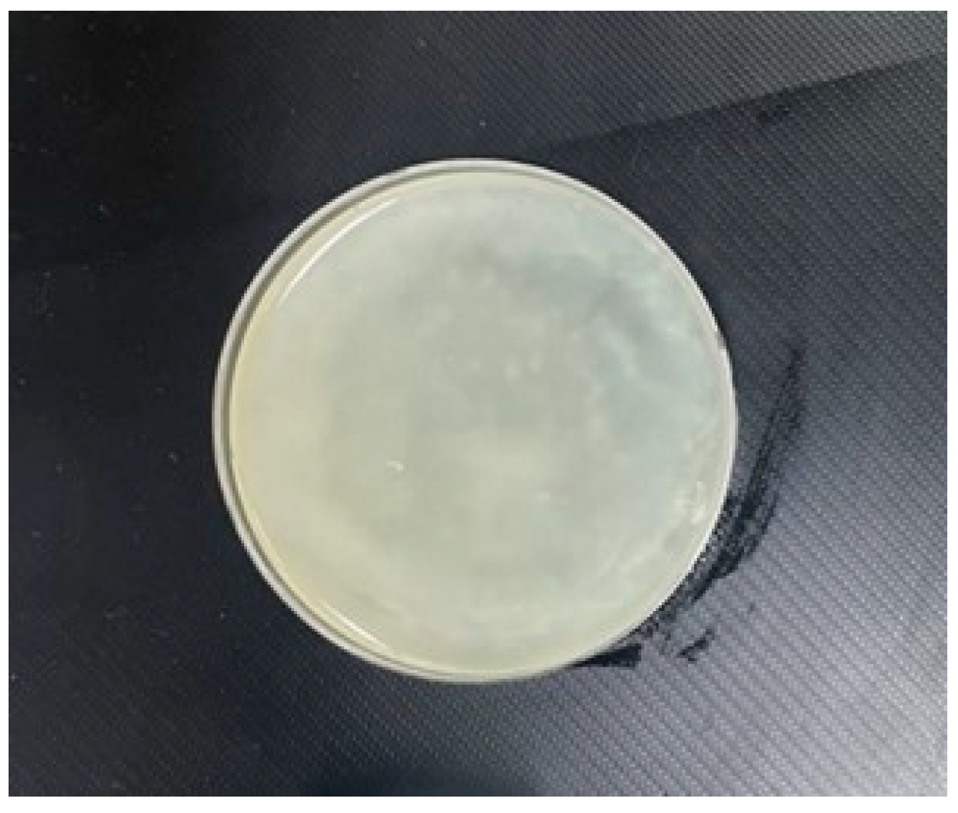 Lubricants 11 00322 g005