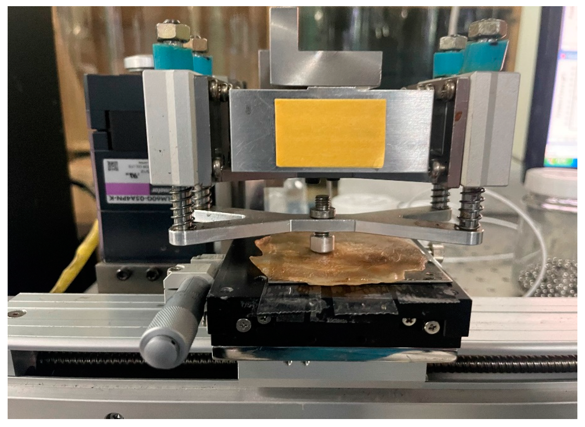 Lubricants 11 00322 g007