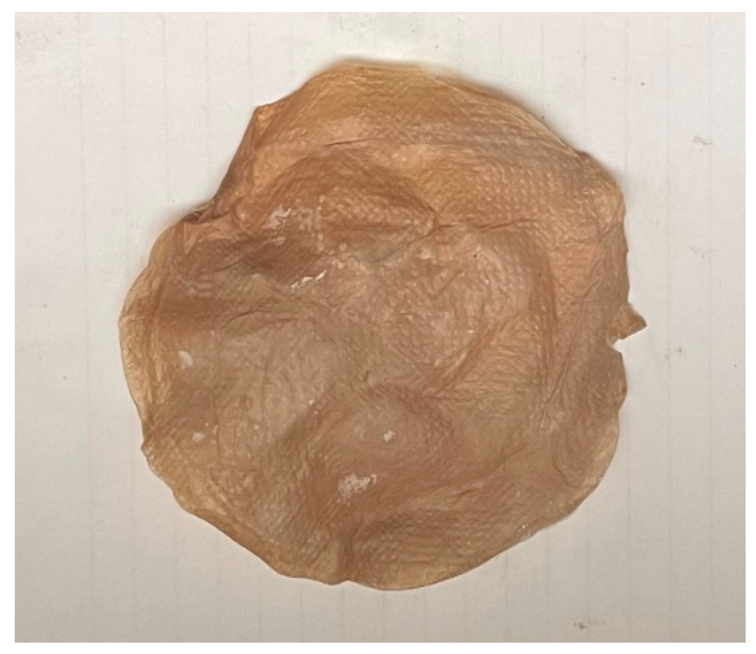 Lubricants 11 00322 g009