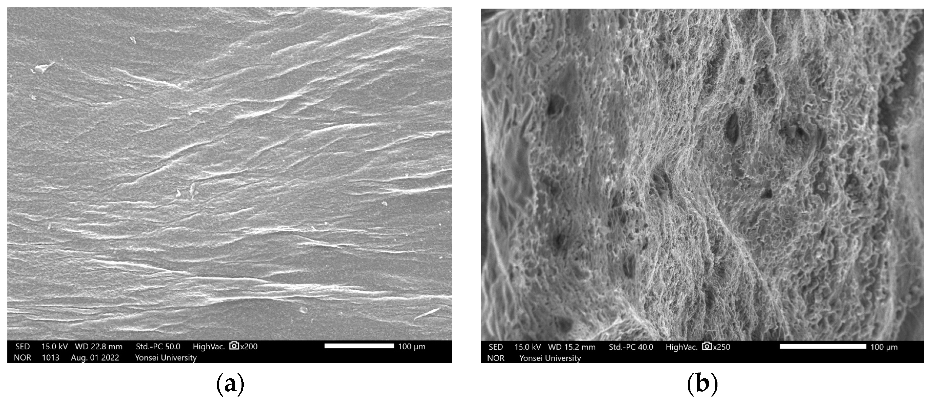 Lubricants 11 00322 g010