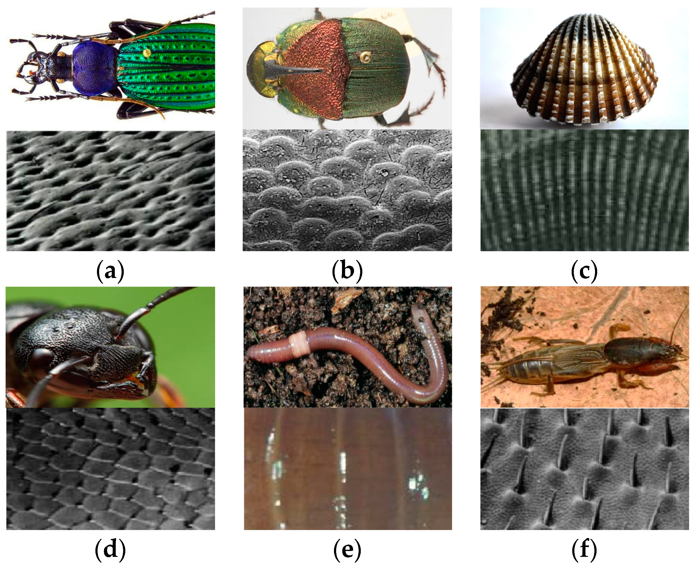 Lubricants 11 00324 g009 Lubricants 11 00324 g009