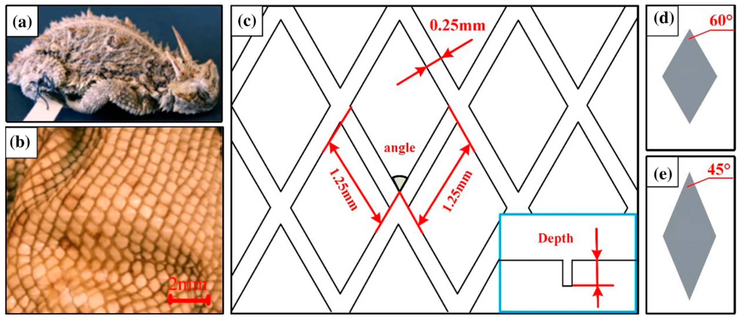 Lubricants 11 00324 g013 Lubricants 11 00324 g013