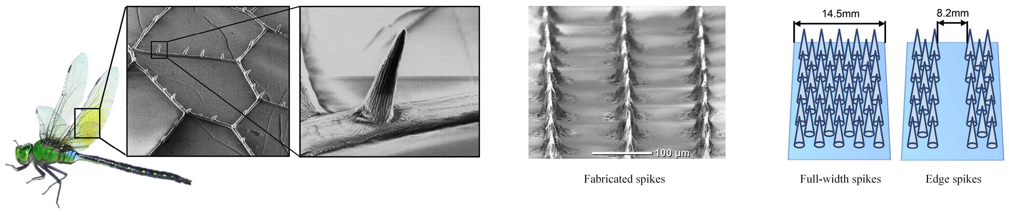 Lubricants 11 00324 g015 Lubricants 11 00324 g015