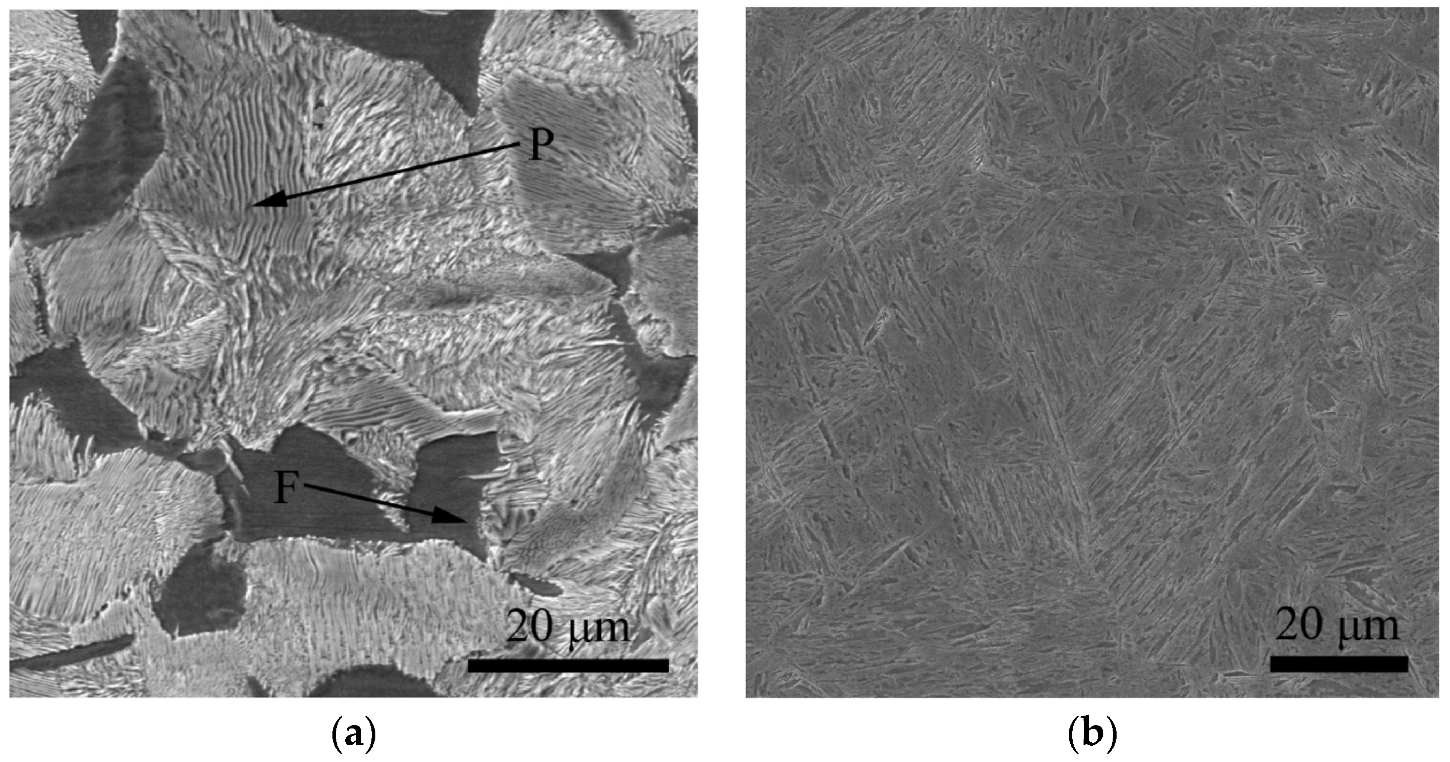 Lubricants 11 00324 g037 Lubricants 11 00324 g037