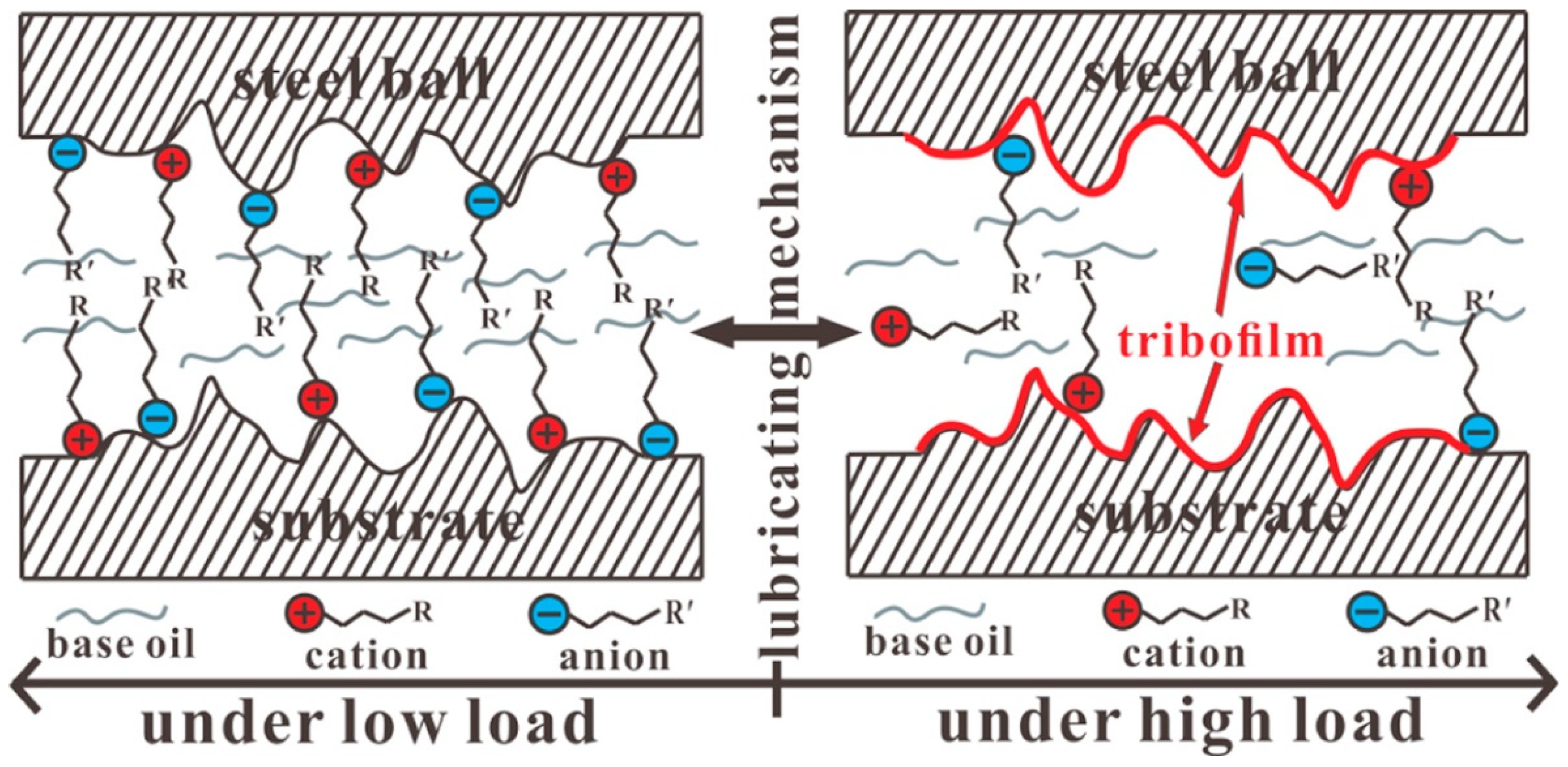 Lubricants 11 00331 g005