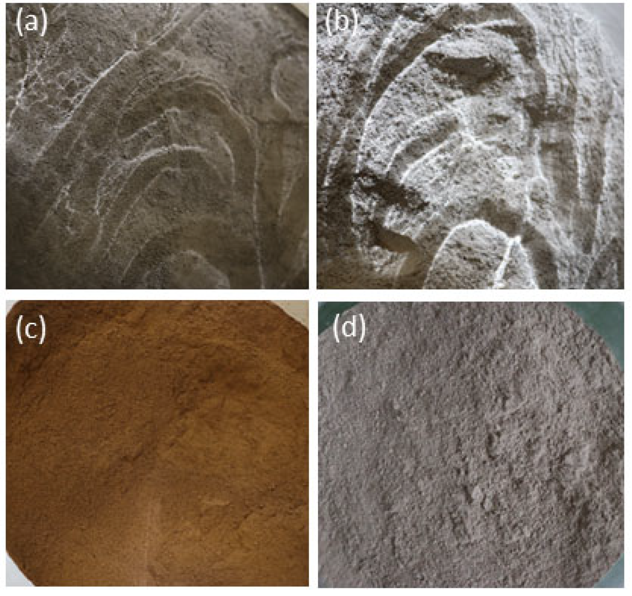 Lubricants 11 00334 g002
