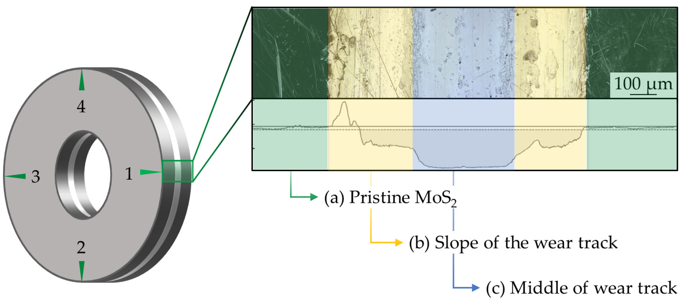 Lubricants 11 00335 g002