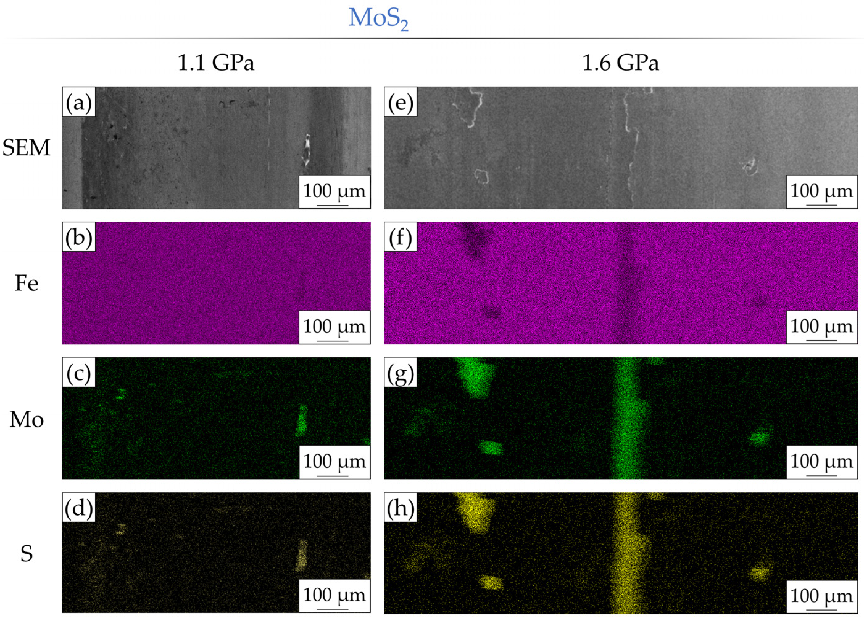 Lubricants 11 00335 g006