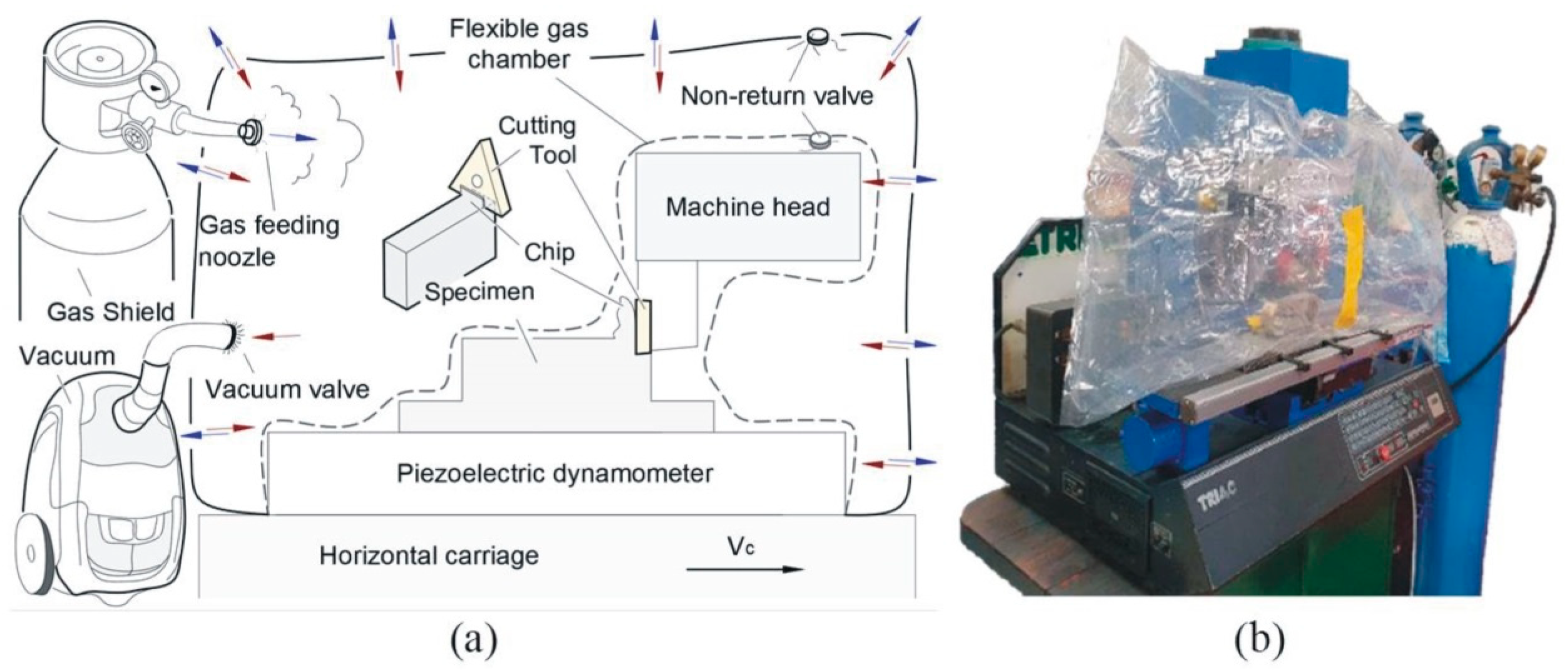 Lubricants 11 00342 g001