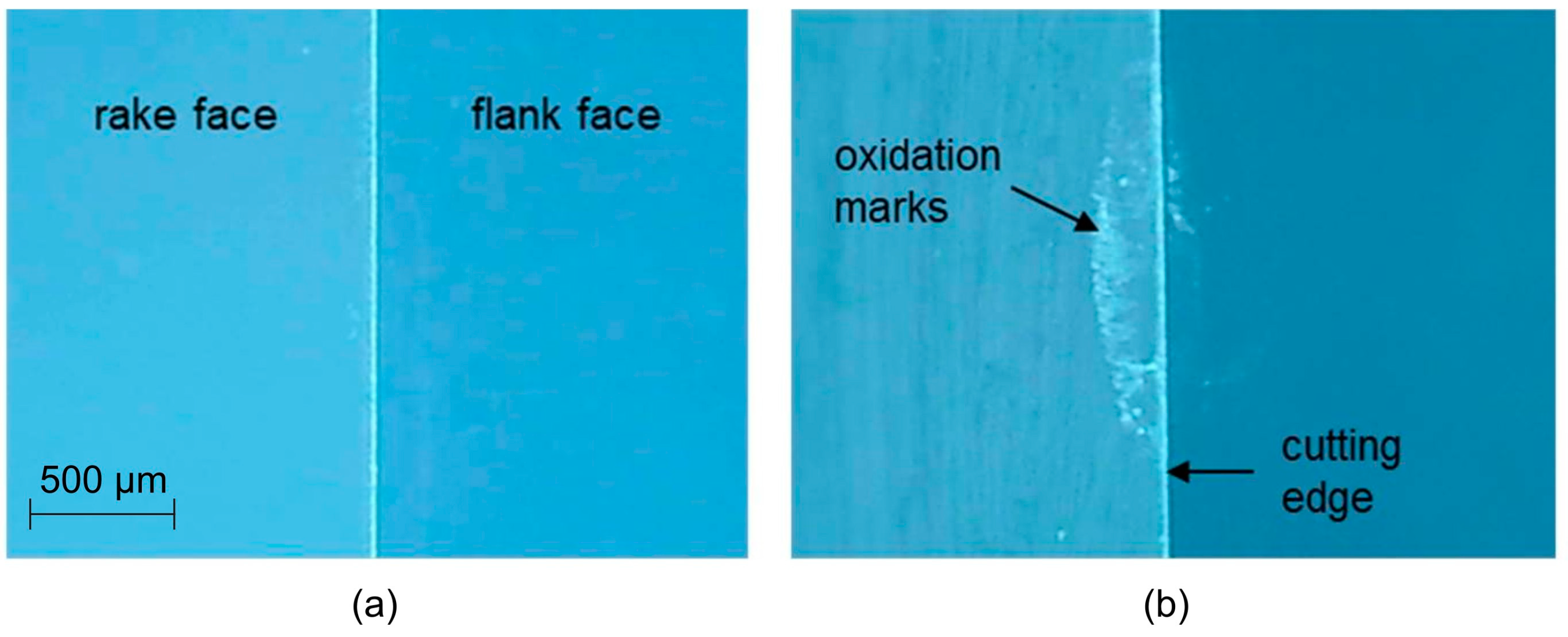 Lubricants 11 00342 g007