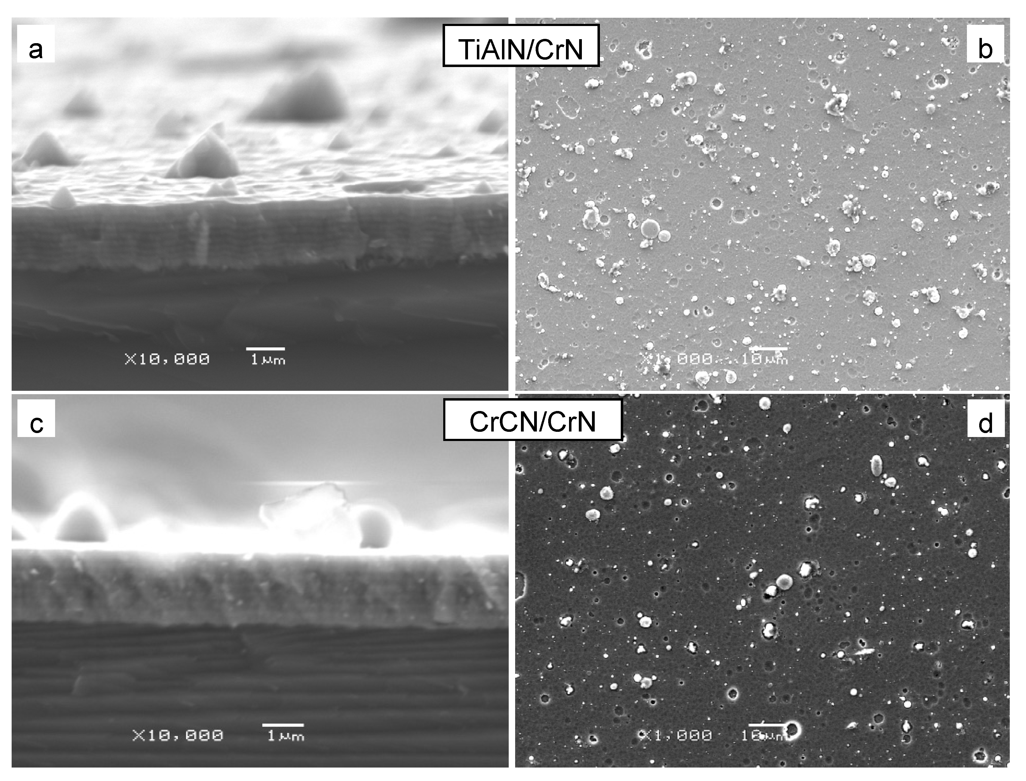 Lubricants 11 00371 g002