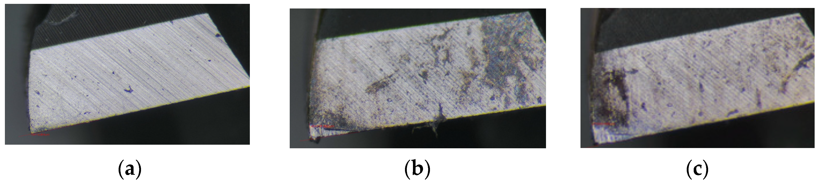 Lubricants 11 00389 g008