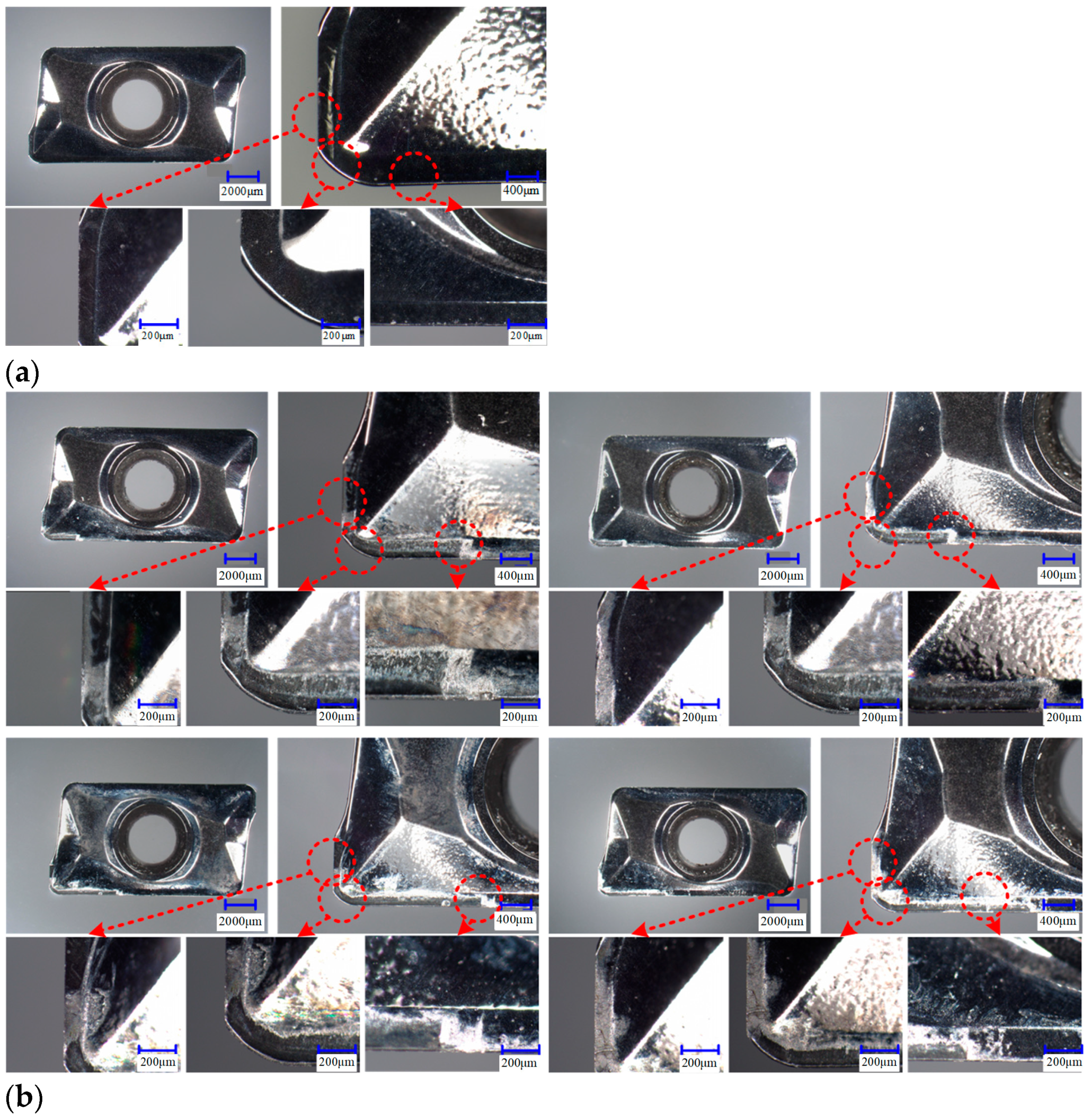 Lubricants 11 00390 g004